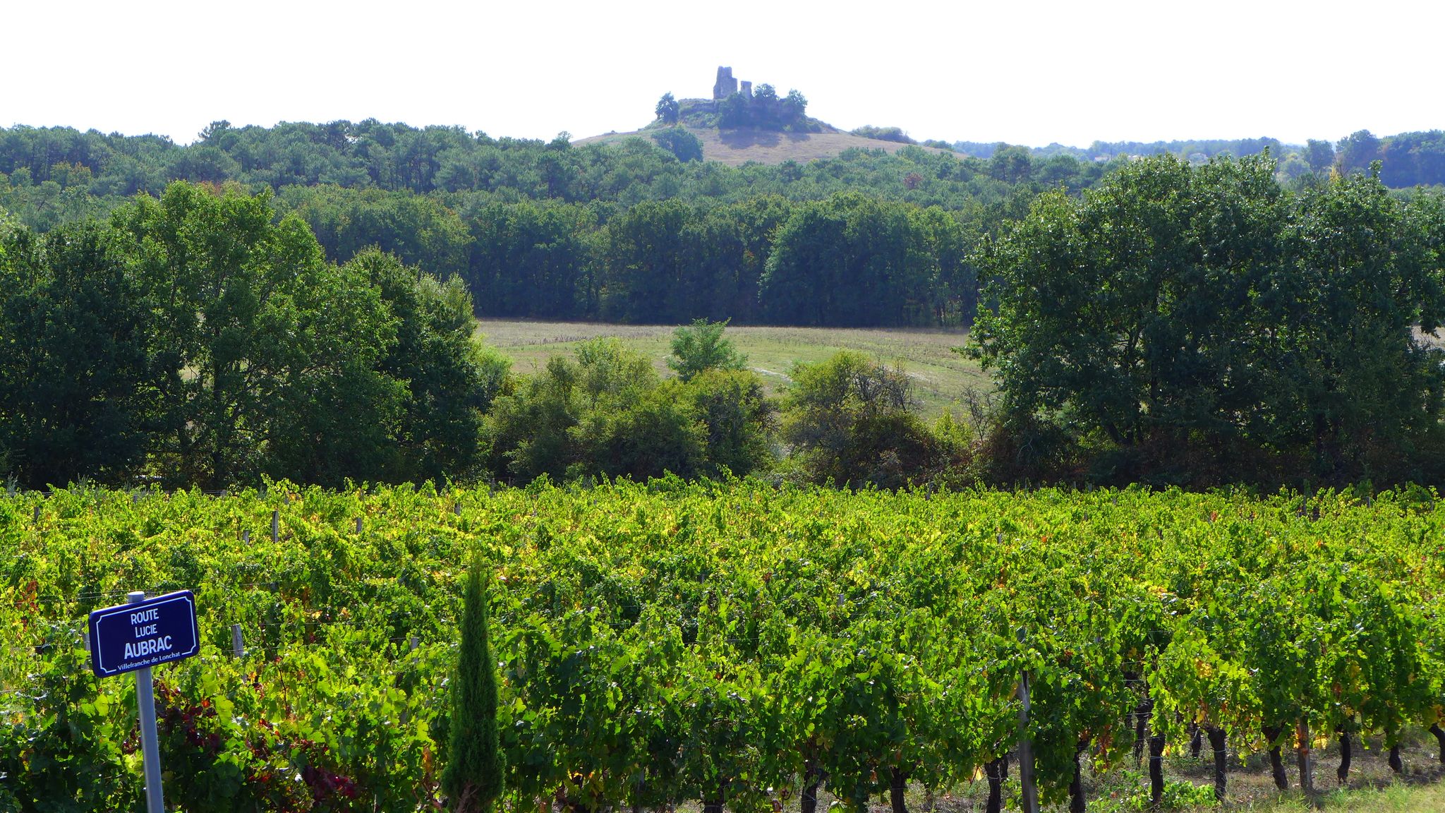 Château de Gurson