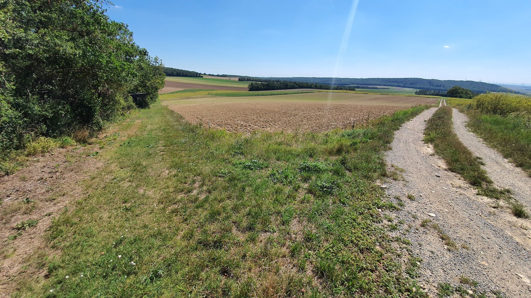 Wiesenabfahrt links