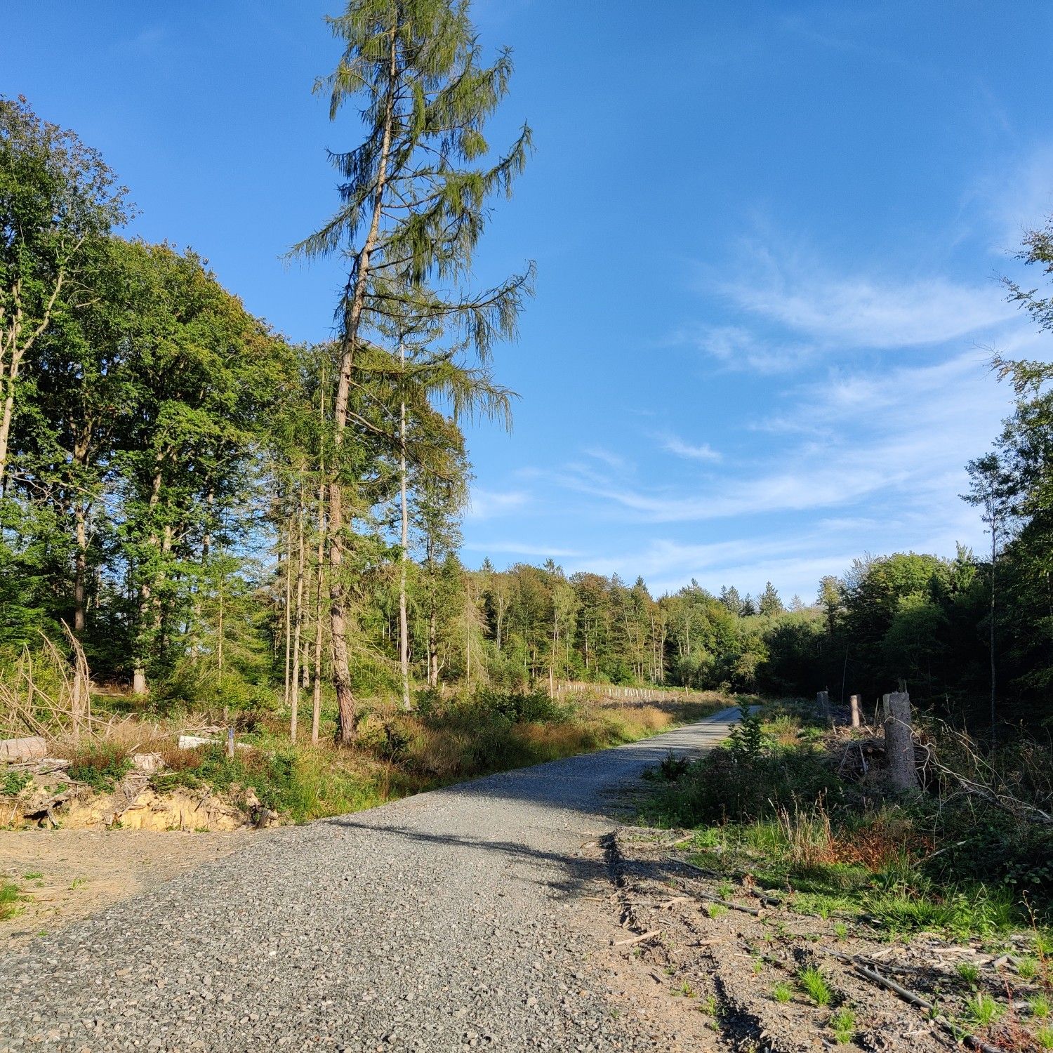 geschotterter Weg vom Wohmbachtal zum Wolfgangsee