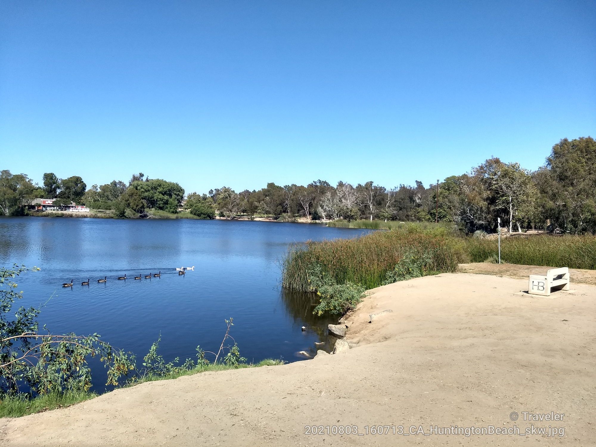 Clear blue lake with ducks, surrounded by trees and reeds on a sunny day. - Lake Huntington Trail