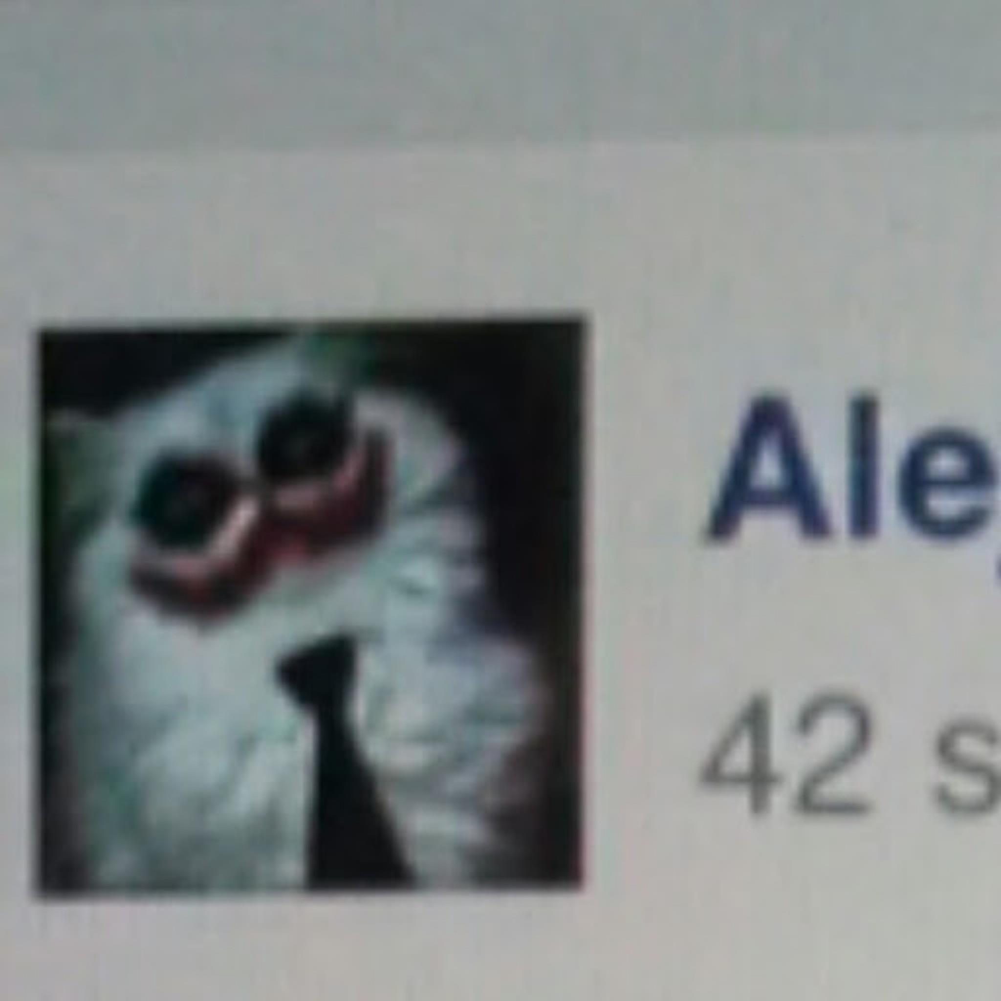 user avatar