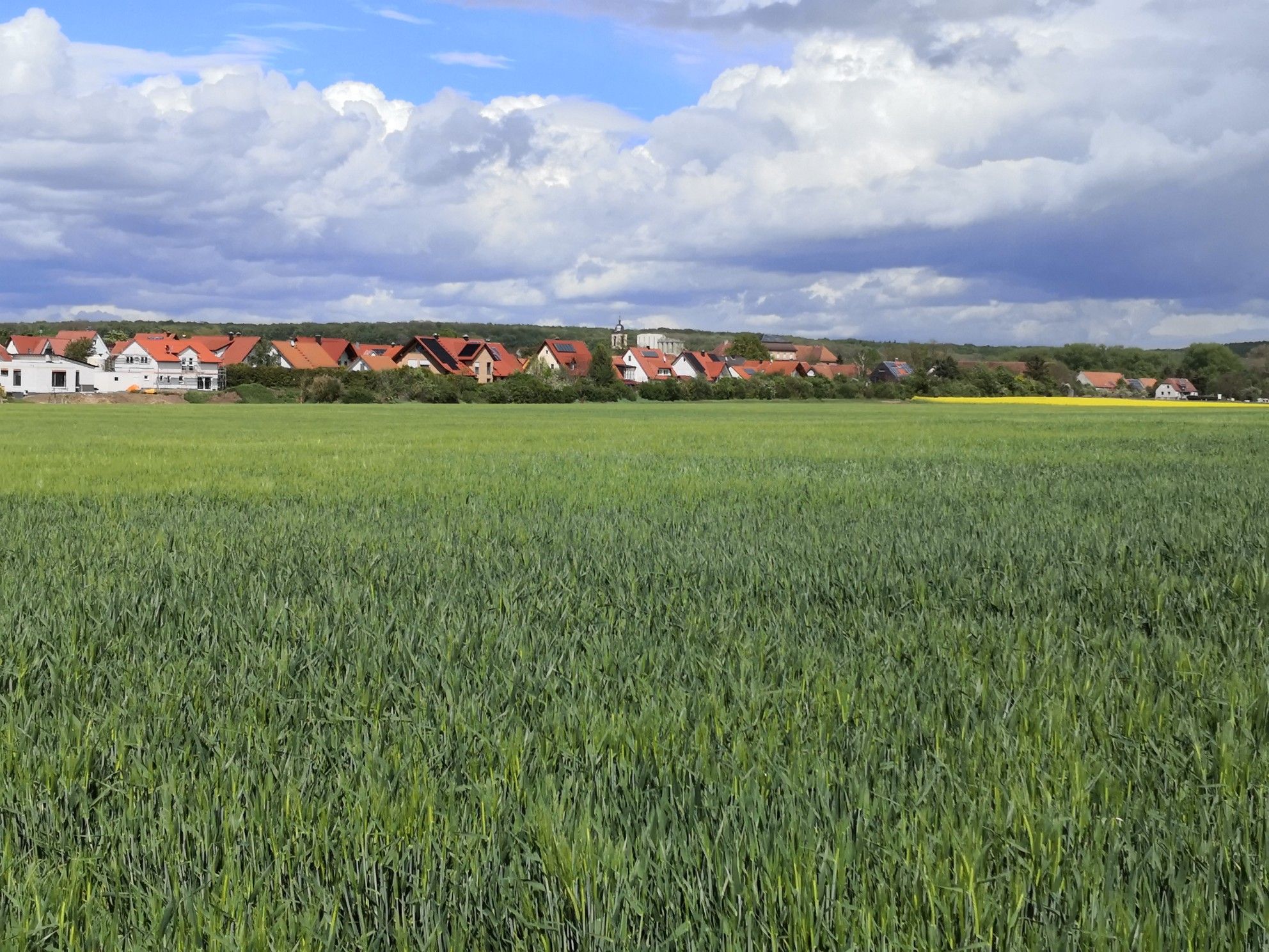 zu Hause in Sulzheim 