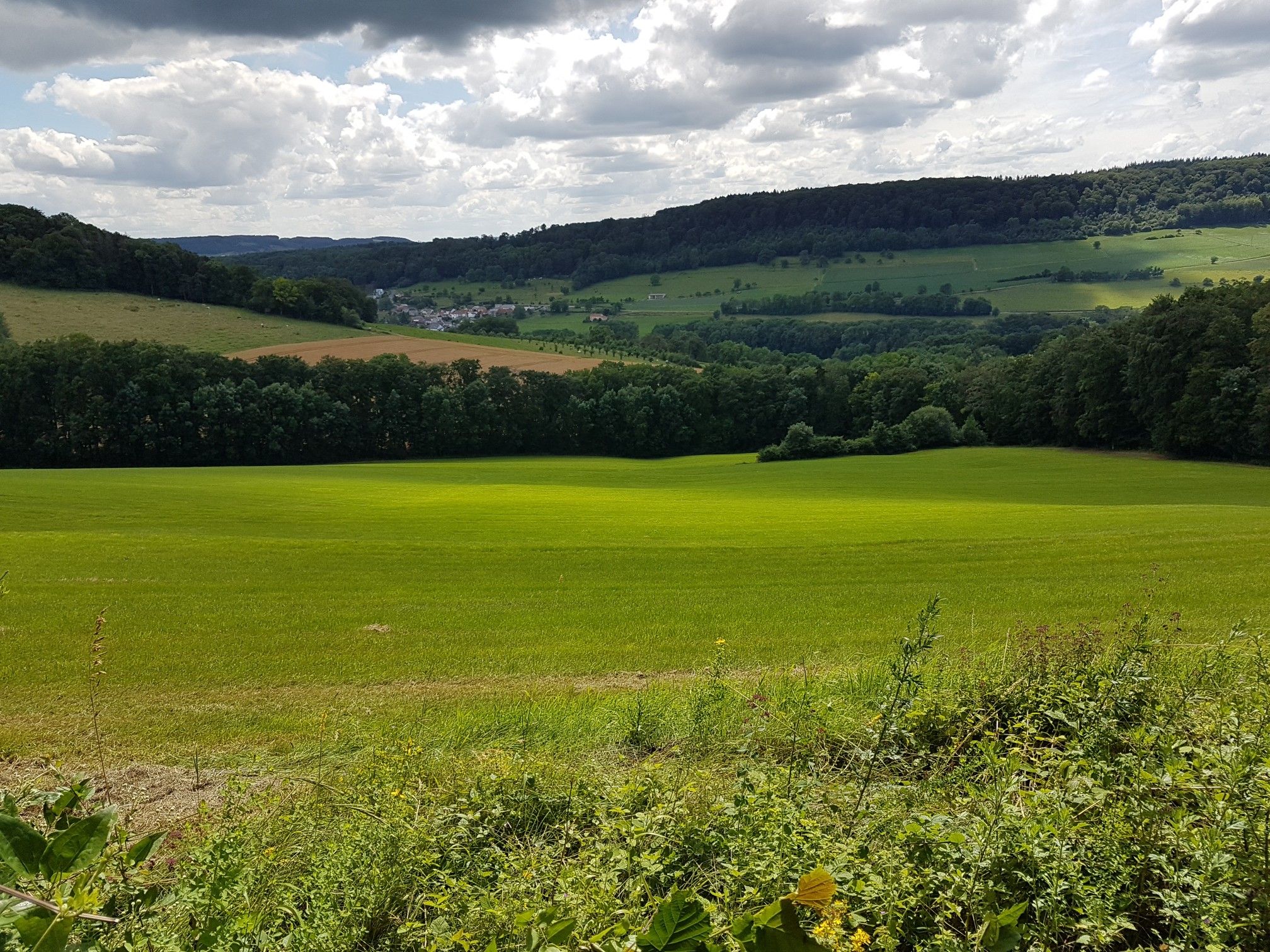 Fernsicht