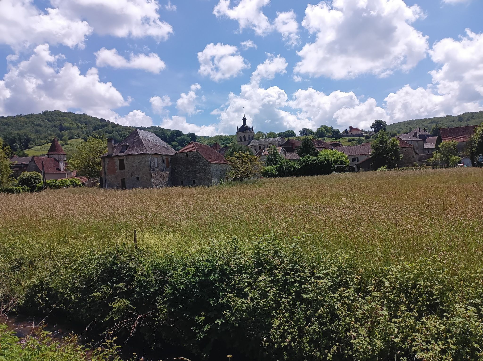 Cornac