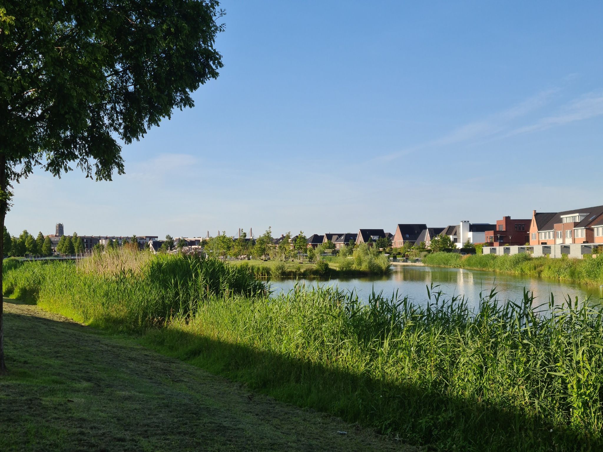met de brug op de achtergrond