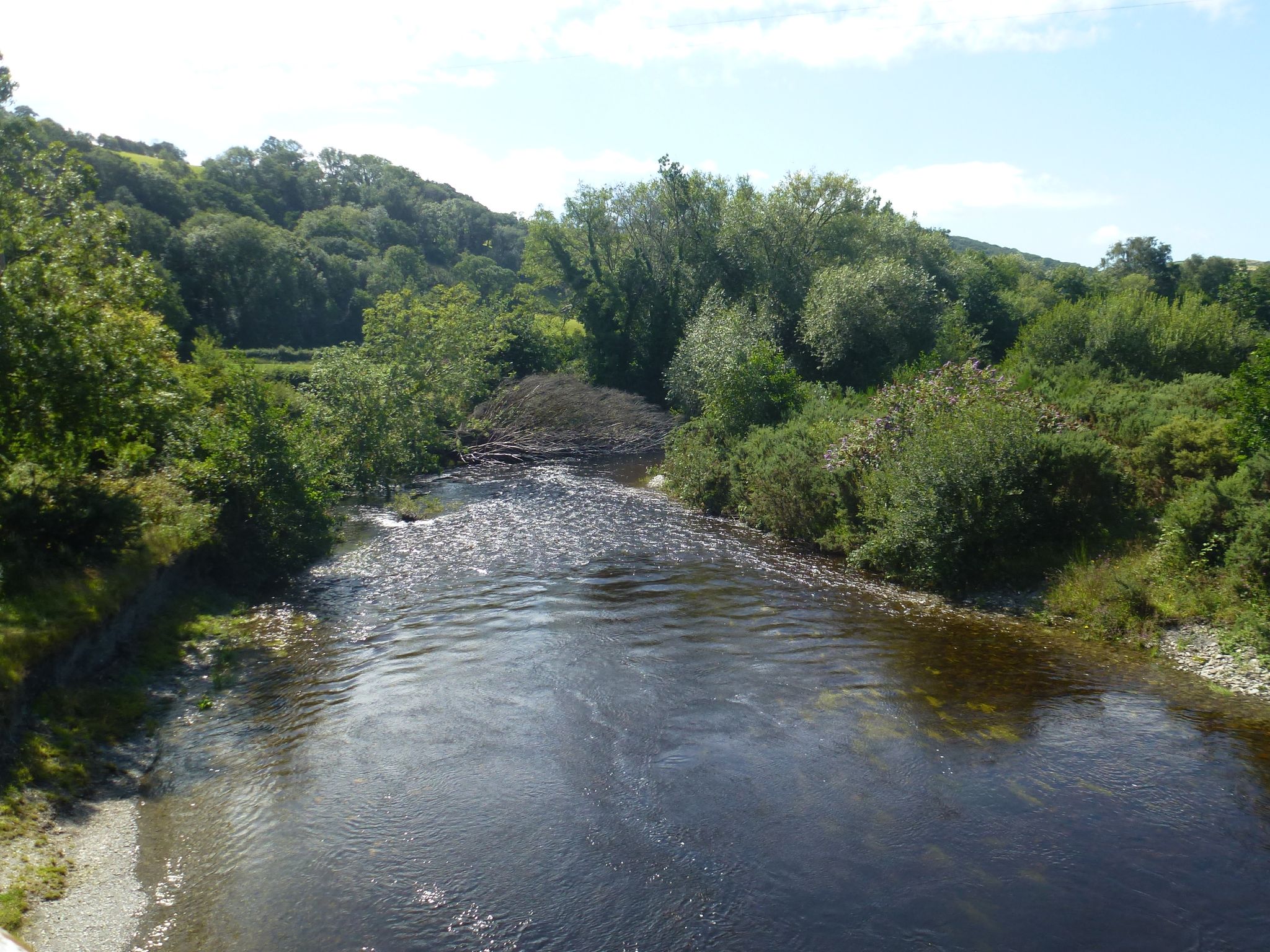 Afon Rheidol