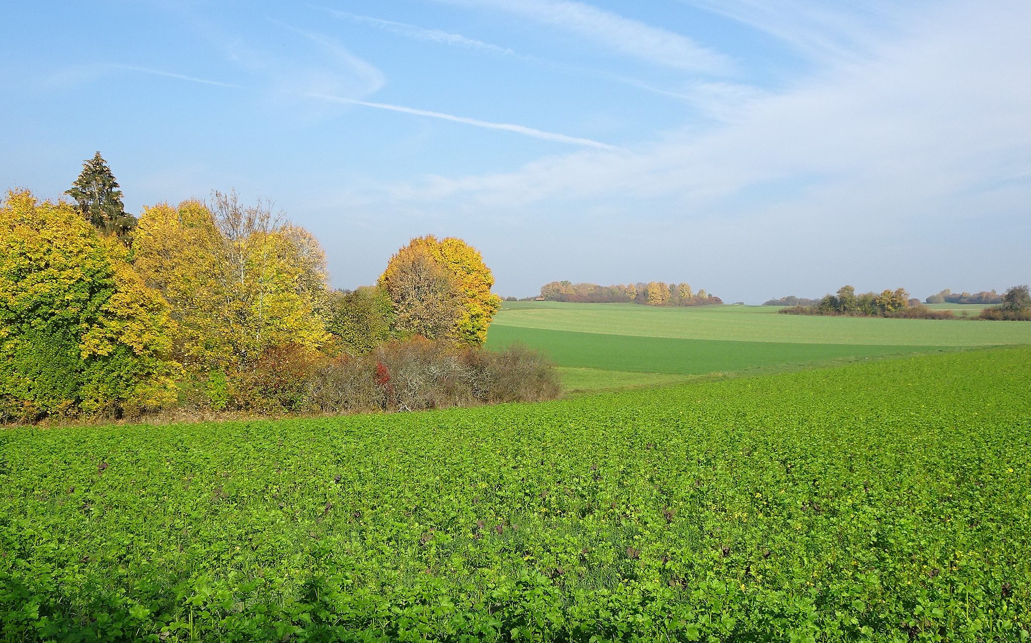 Herbstliche Hochebene