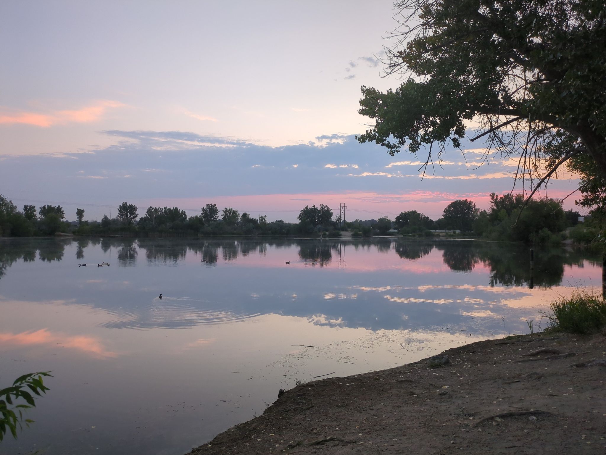 Calm lake reflecting a colorful sunset sky with trees on the horizon. - Rotary Pond Park Loop