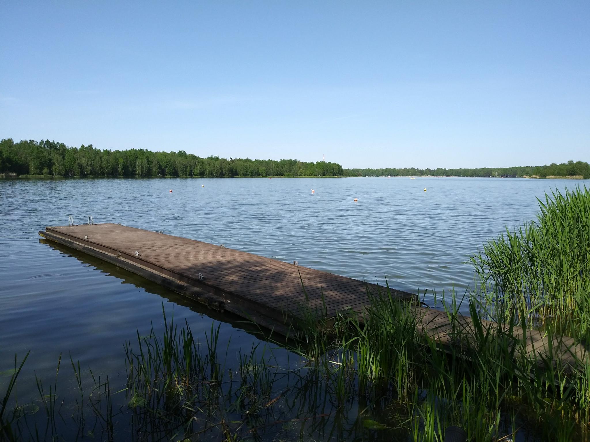 Co dělat v Rezerwat Żubrowisko