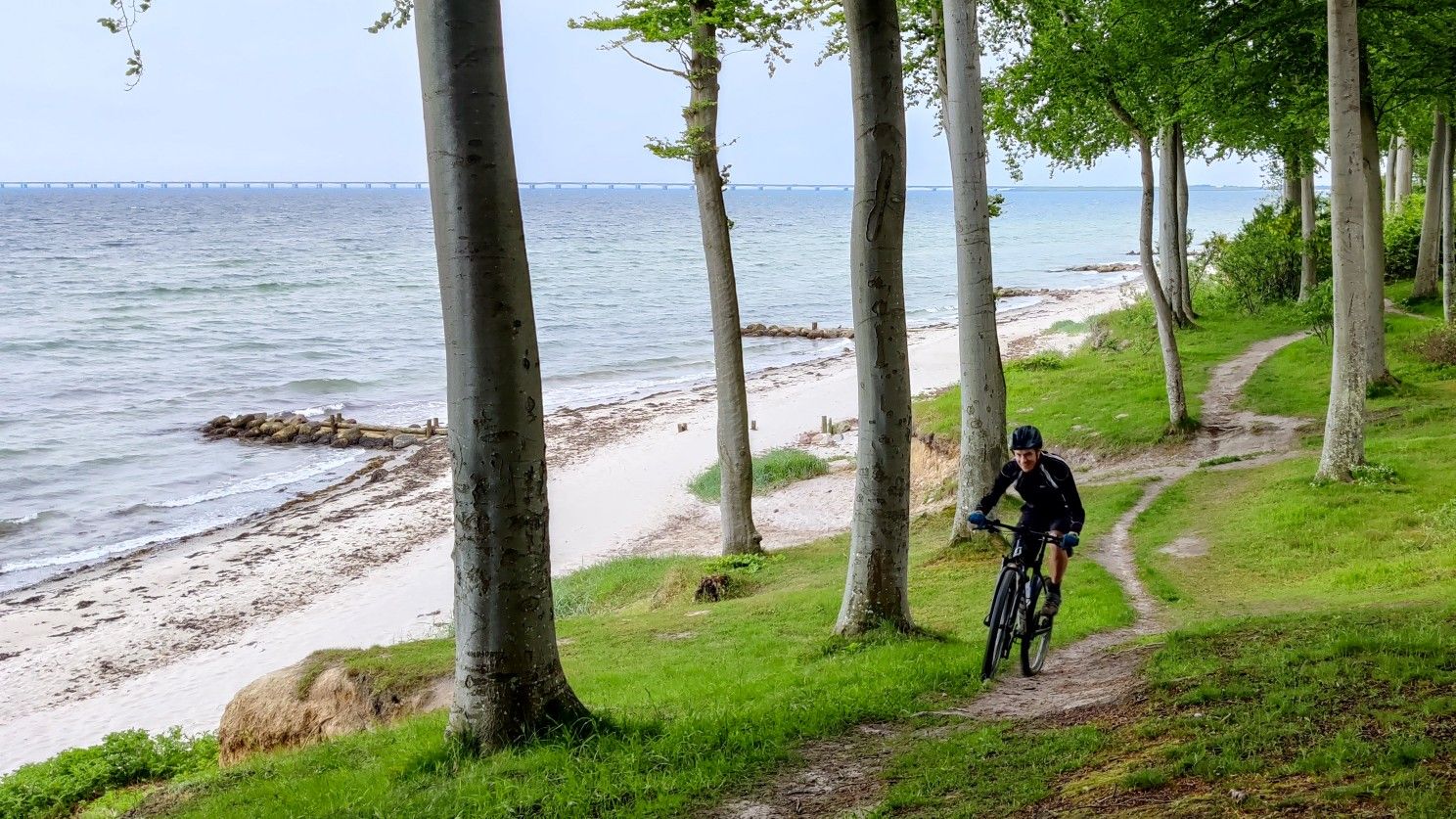sportliches klapprad Kcolic 12/14 Zoll Leichtmetall Klapprad, Single Speed Scheibenbremse Schnellklappsystem, Für Pendeln Im Freien, 200 Kg Gewichtskapazität A,14in Sport & Freizeit MP_BUNNINGS Theres 2 types of Type:Black