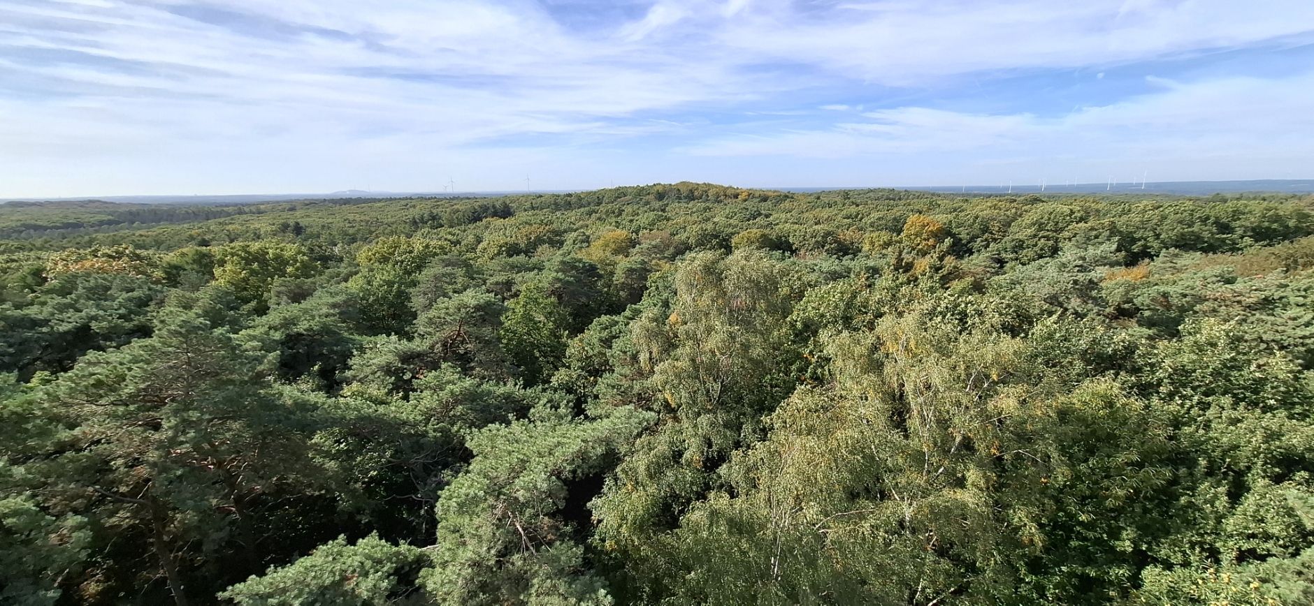 Panorama vom Feuerwachturm Rennberg
