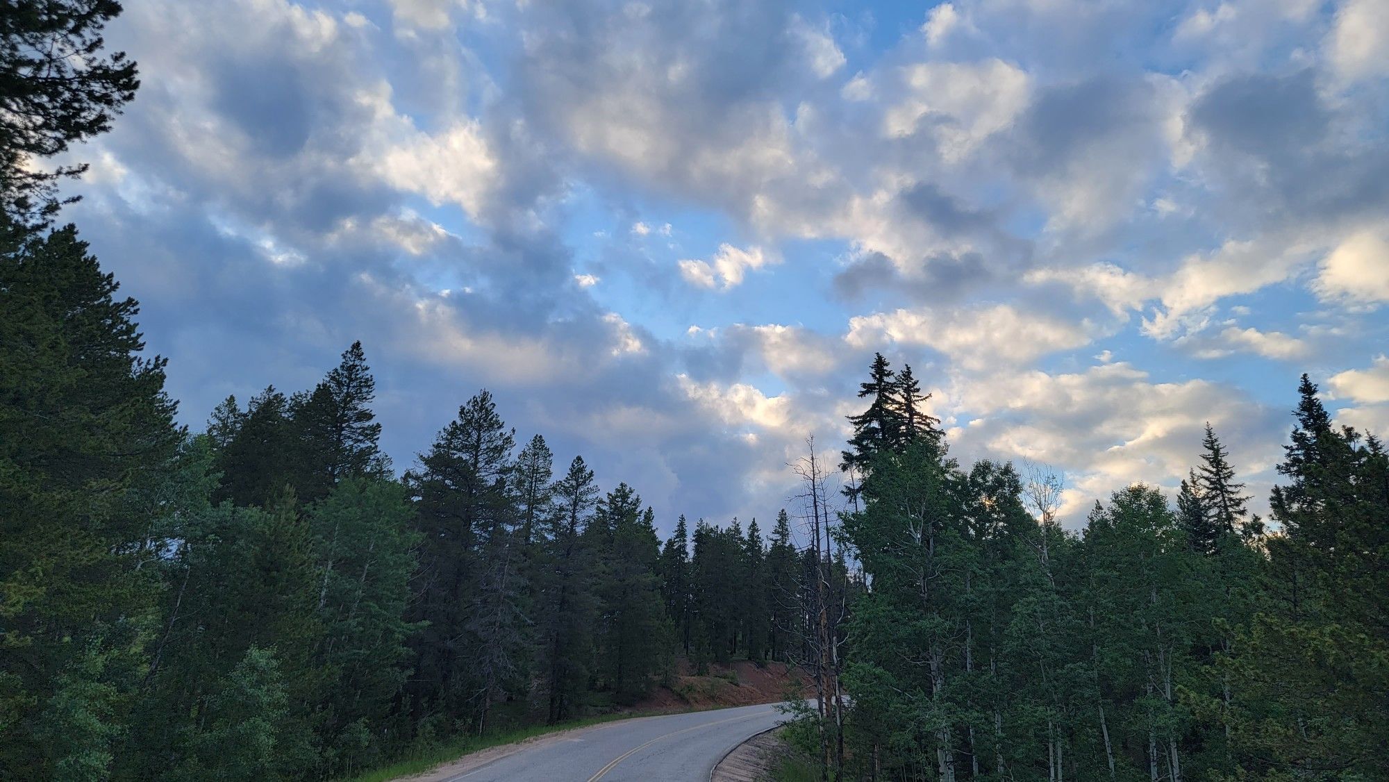 A dirt road winds through a dense forest under a dramatic cloudy sky. - Hiking loop from Meditation Rock
