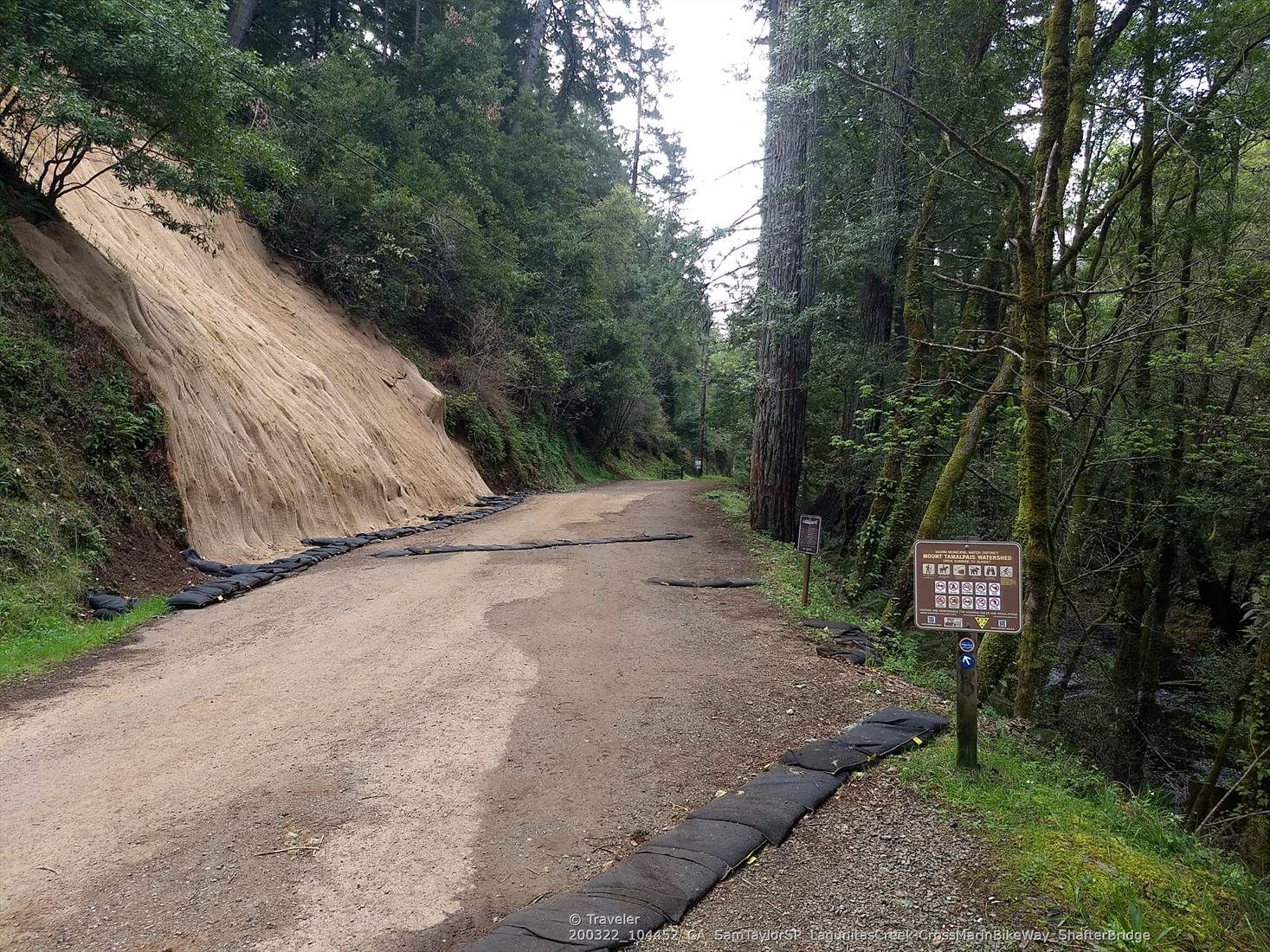 Dirt road with sandbags, steep netted hillside, and tall forest trees. - Cross-Marin Trail Bridge – Marie Dhority Bridge loop from Lagunitas-Forest Knolls