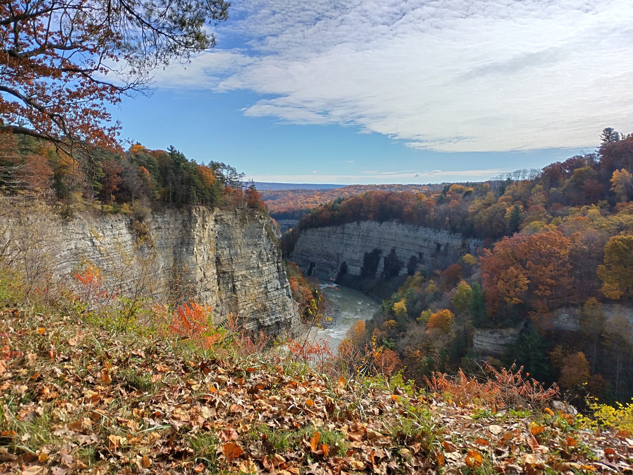 Autumn landscape of a river in a deep gorge with colorful trees and blue sky. - Tea Table loop from Chipmunk Trail (#19A)