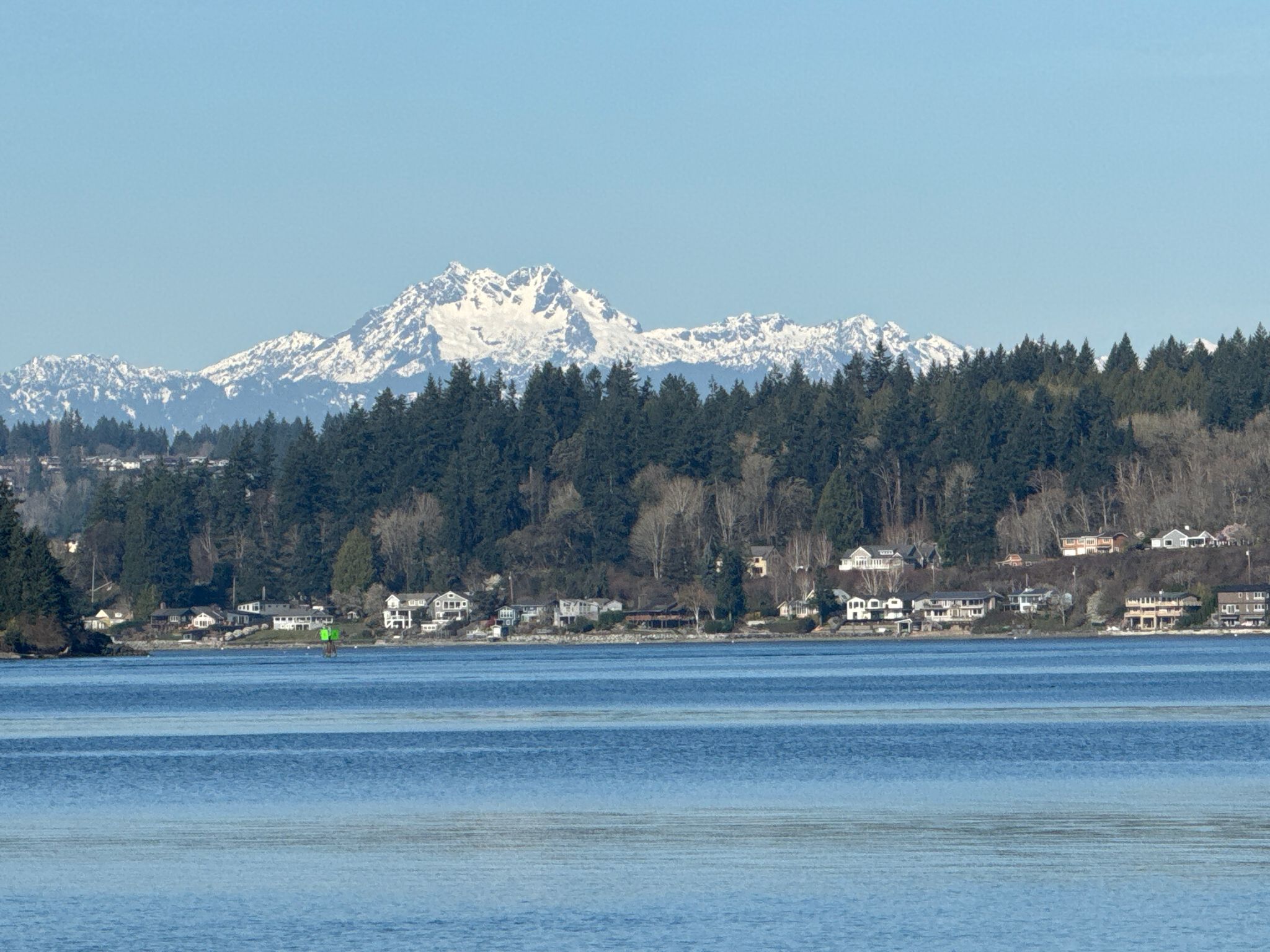Blue water, forested shoreline with houses, and snow-capped mountains. - Battery Vinton – Cascadia Marine Trail loop from Fort Ward Park