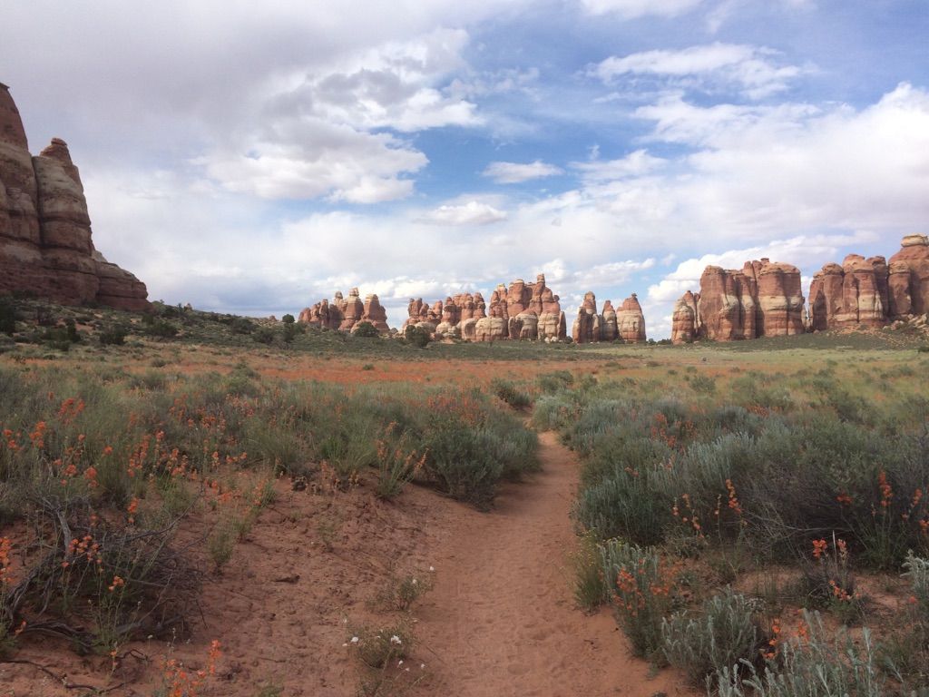 Dirt path through desert with red rock formations under a cloudy sky. - Campsites in Chesler Park – Chesler Park loop from The Needles