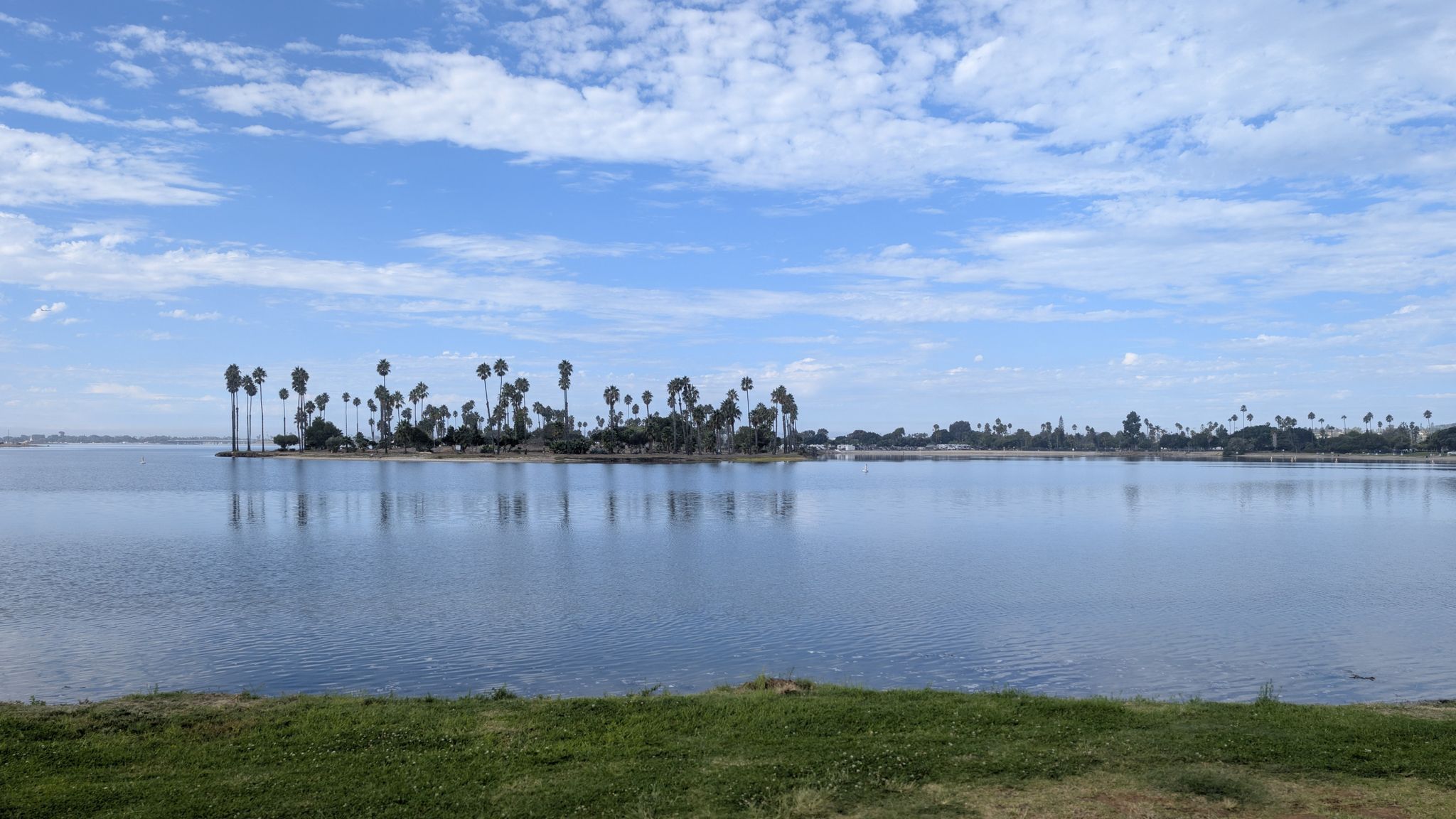 Calm water reflecting a distant shoreline lined with palm trees under a blue sky. - Mission Bay Bike Path