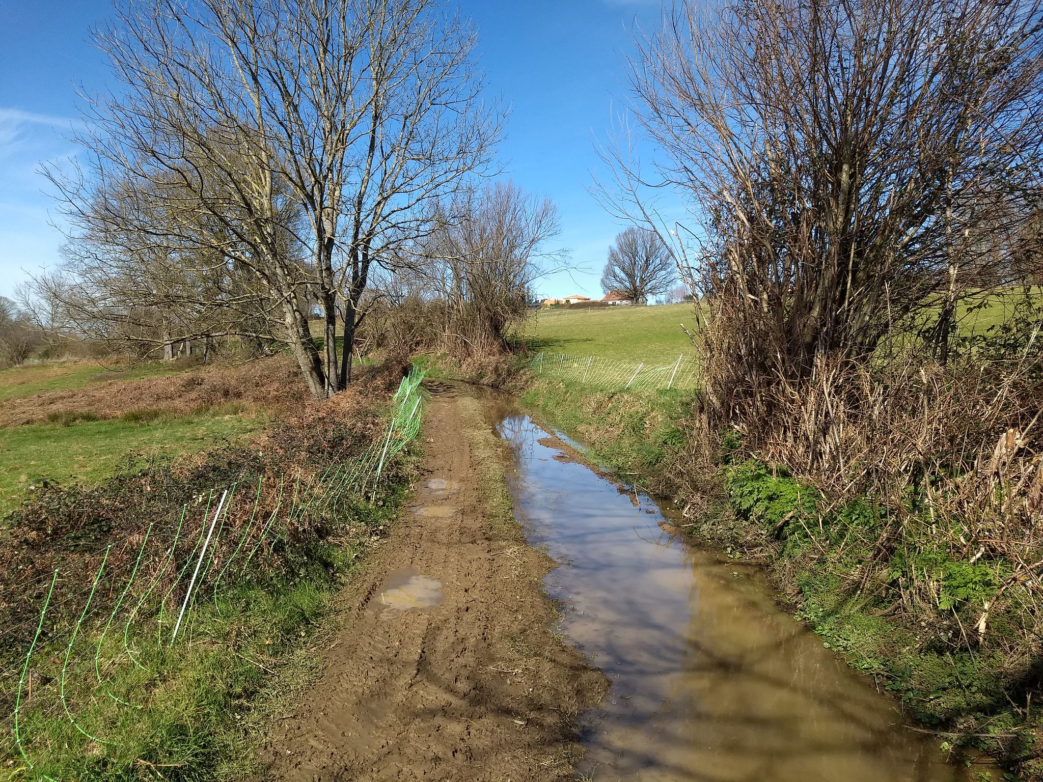 Chemin, ou ruisseau ?