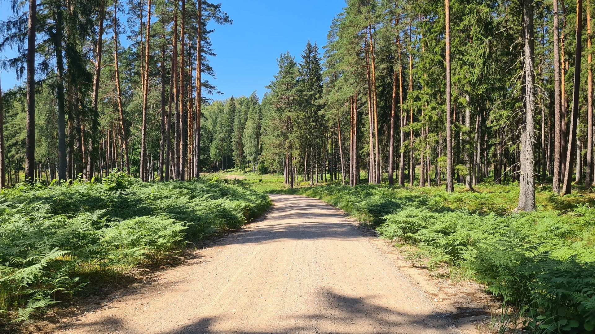 14 km sehr grenzwertige Schotterwege 🙈