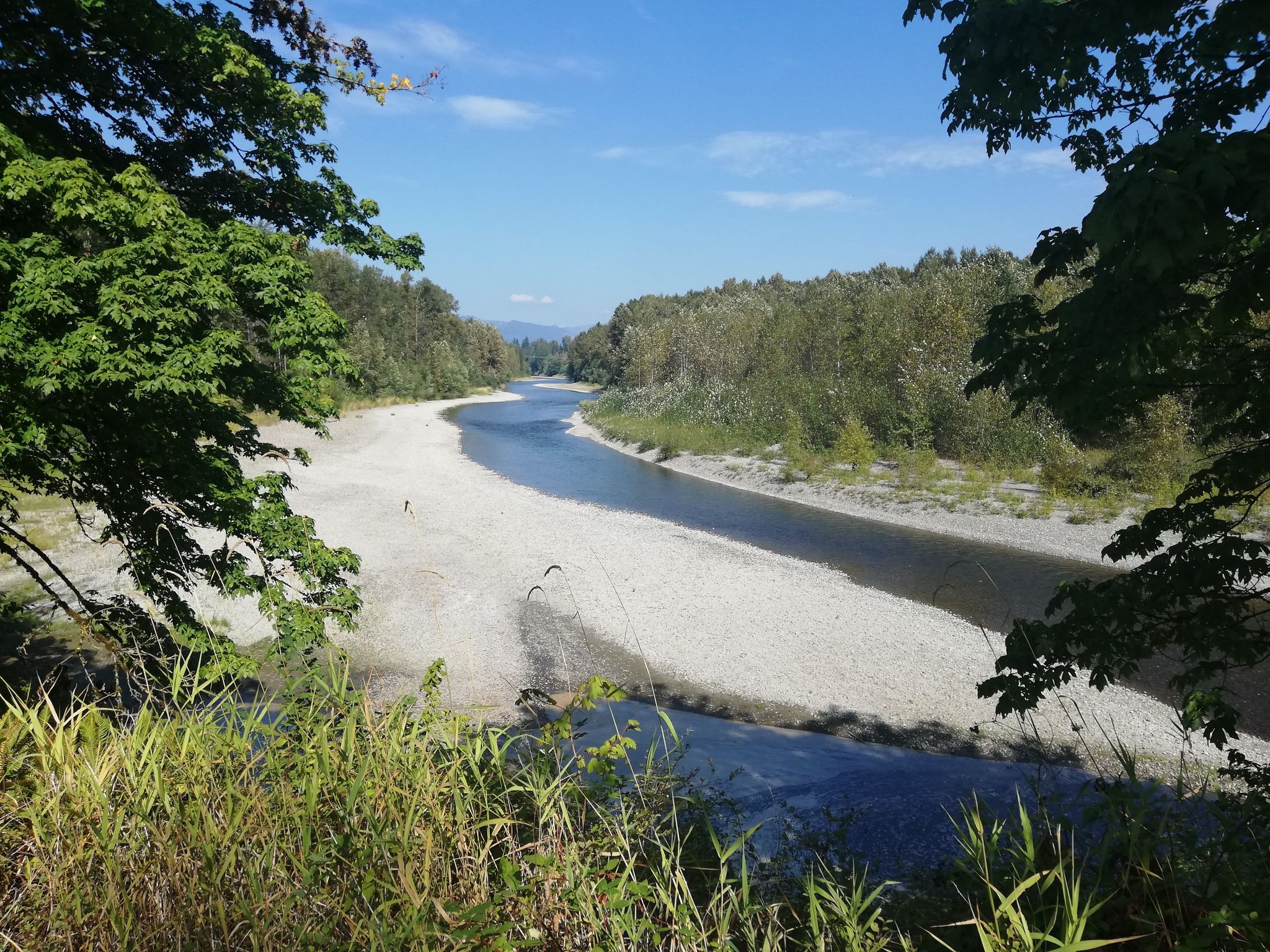 Wide river with sandy banks, green trees, and blue sky. - Snohomish County Centennial Trail