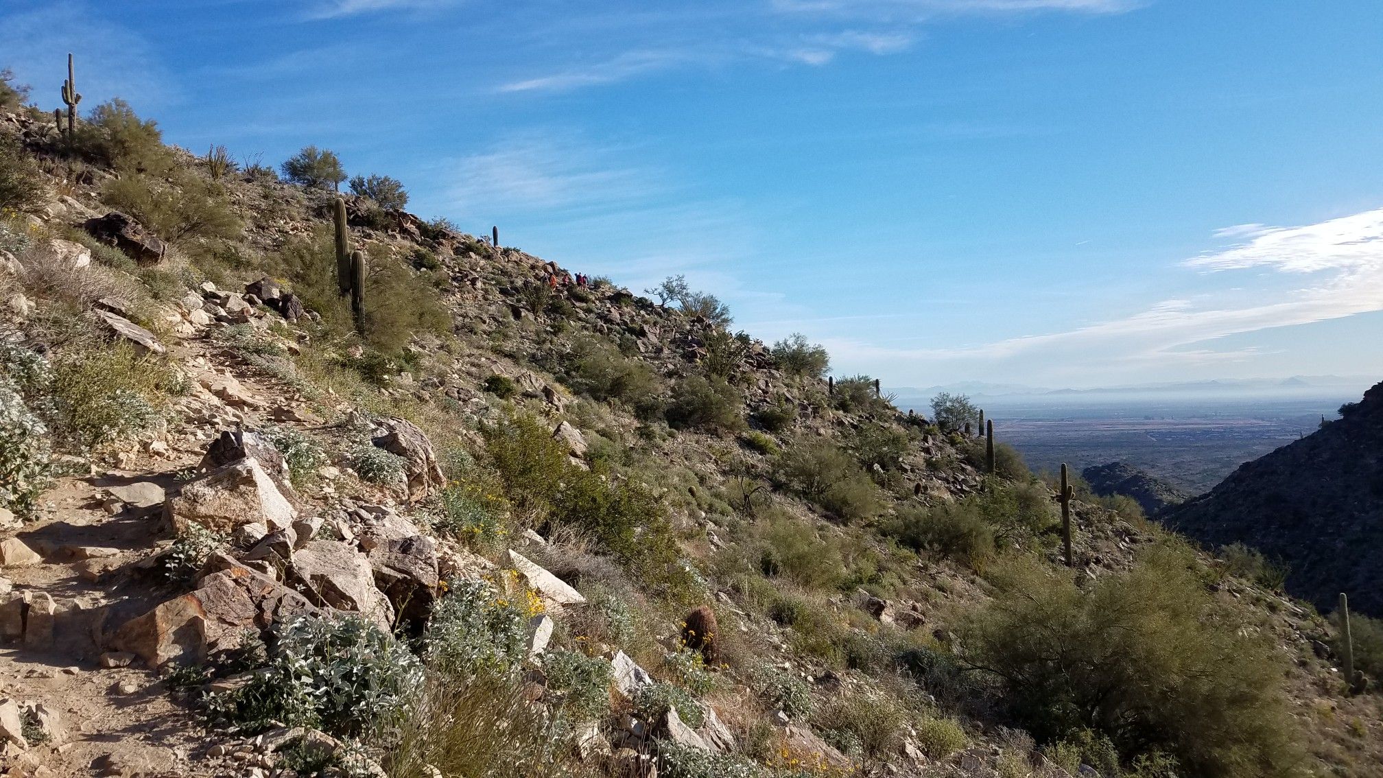 Rocky desert trail on a hillside with saguaro cacti and distant views. - Mesquite Canyon Trail