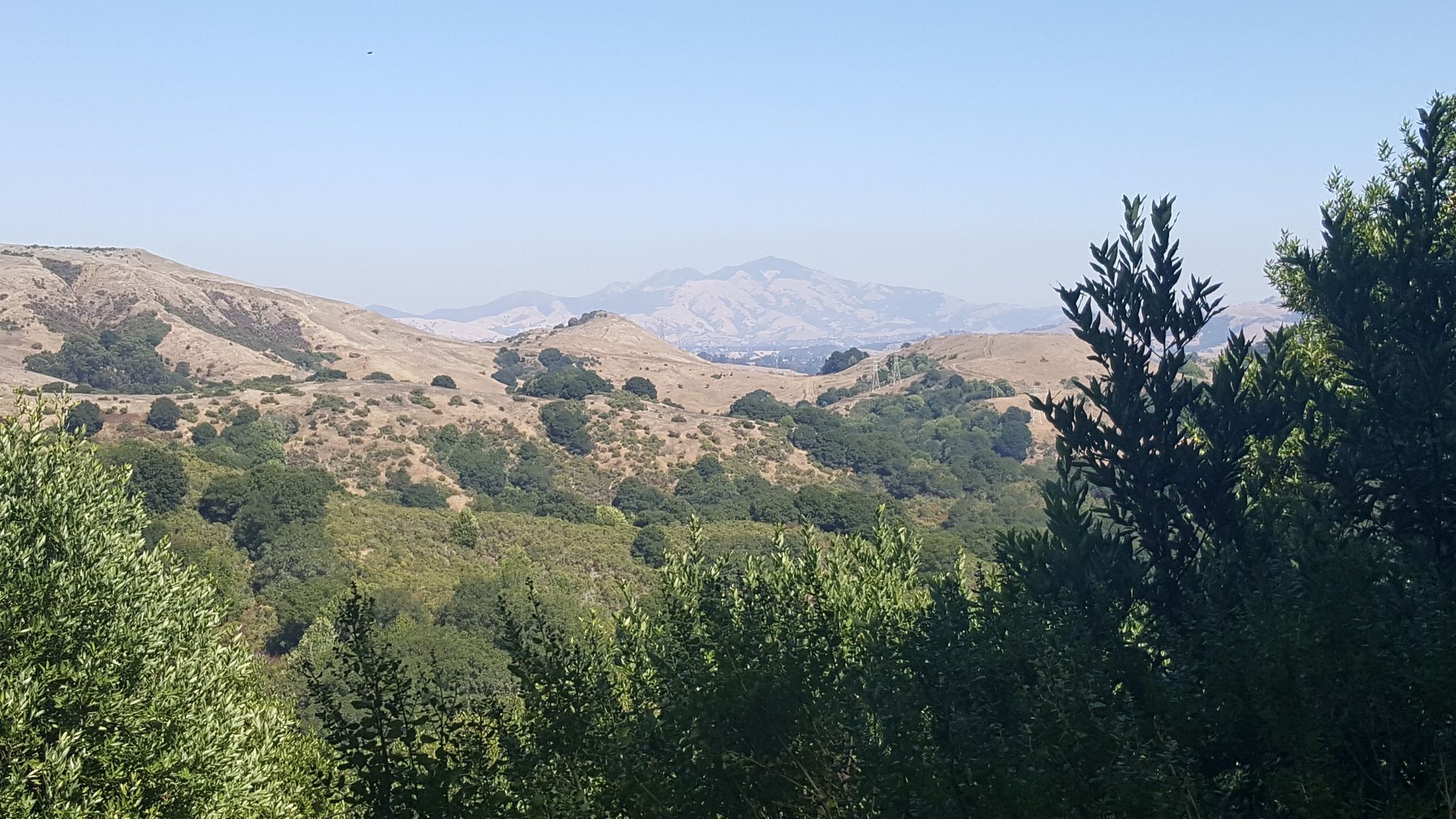 Hazy view of dry, rolling hills and distant mountains, with green foliage foreground. - Huckleberry Loop Trail