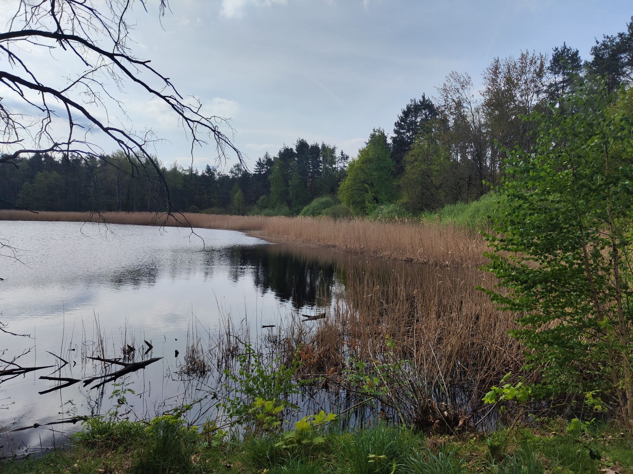 Fischerteich