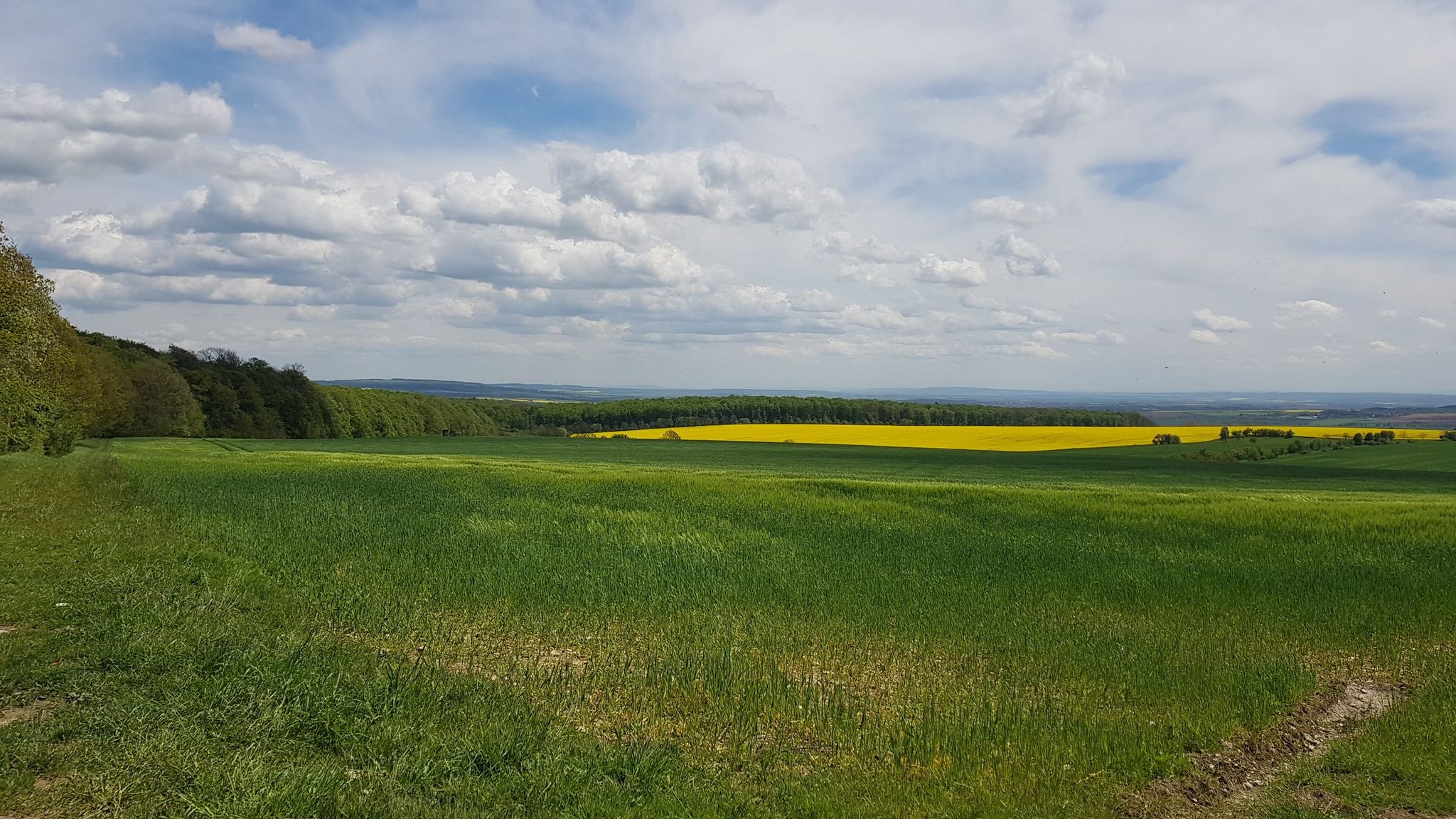 Fernblick von der Rodelandhütte