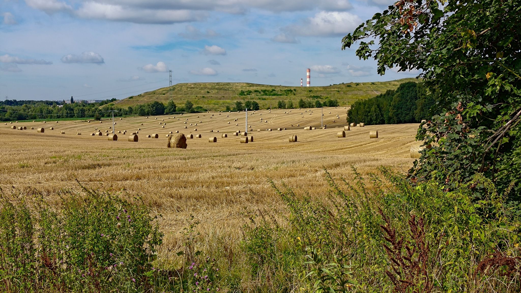 Widok na Walewską