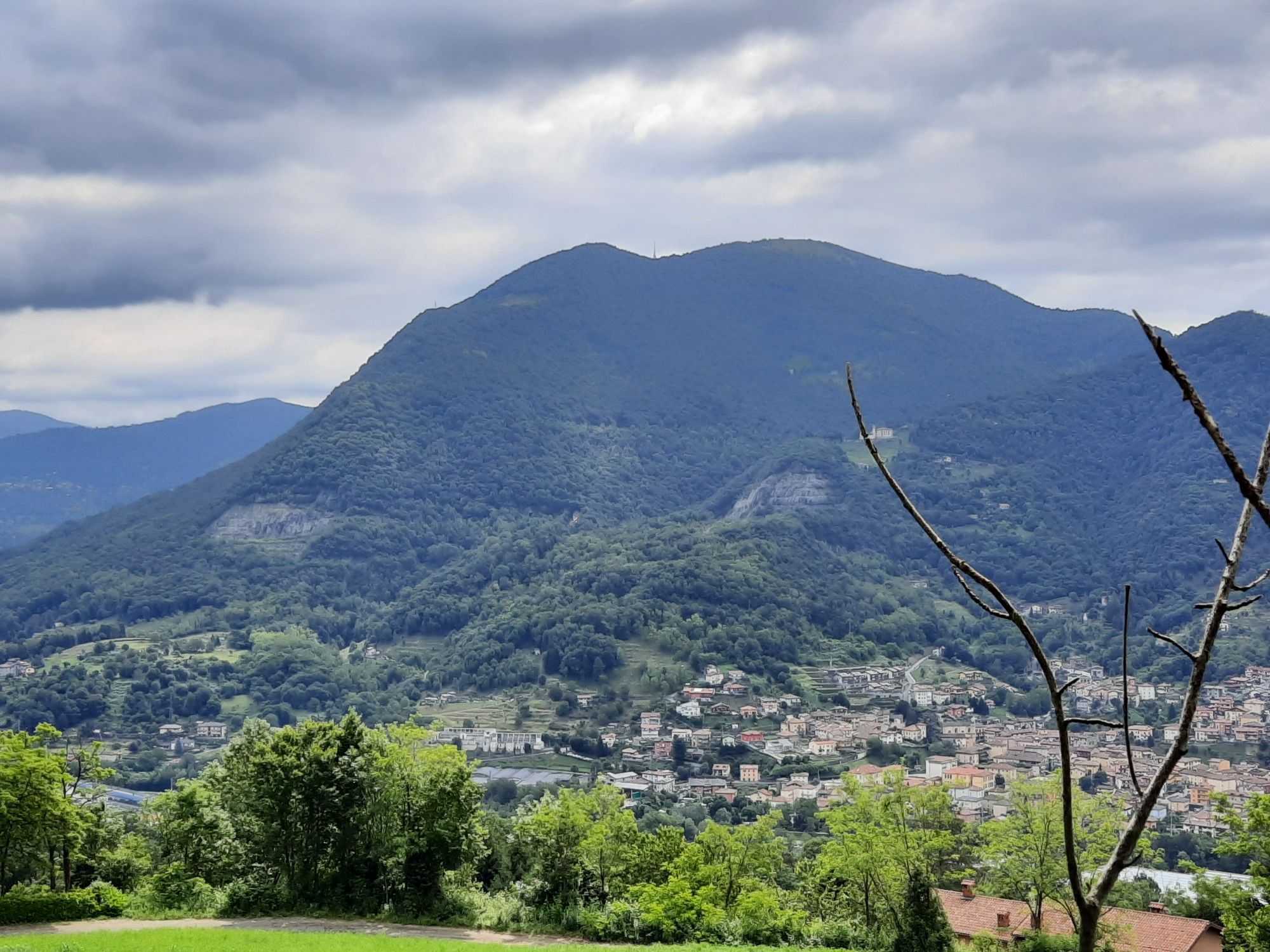 piazzo