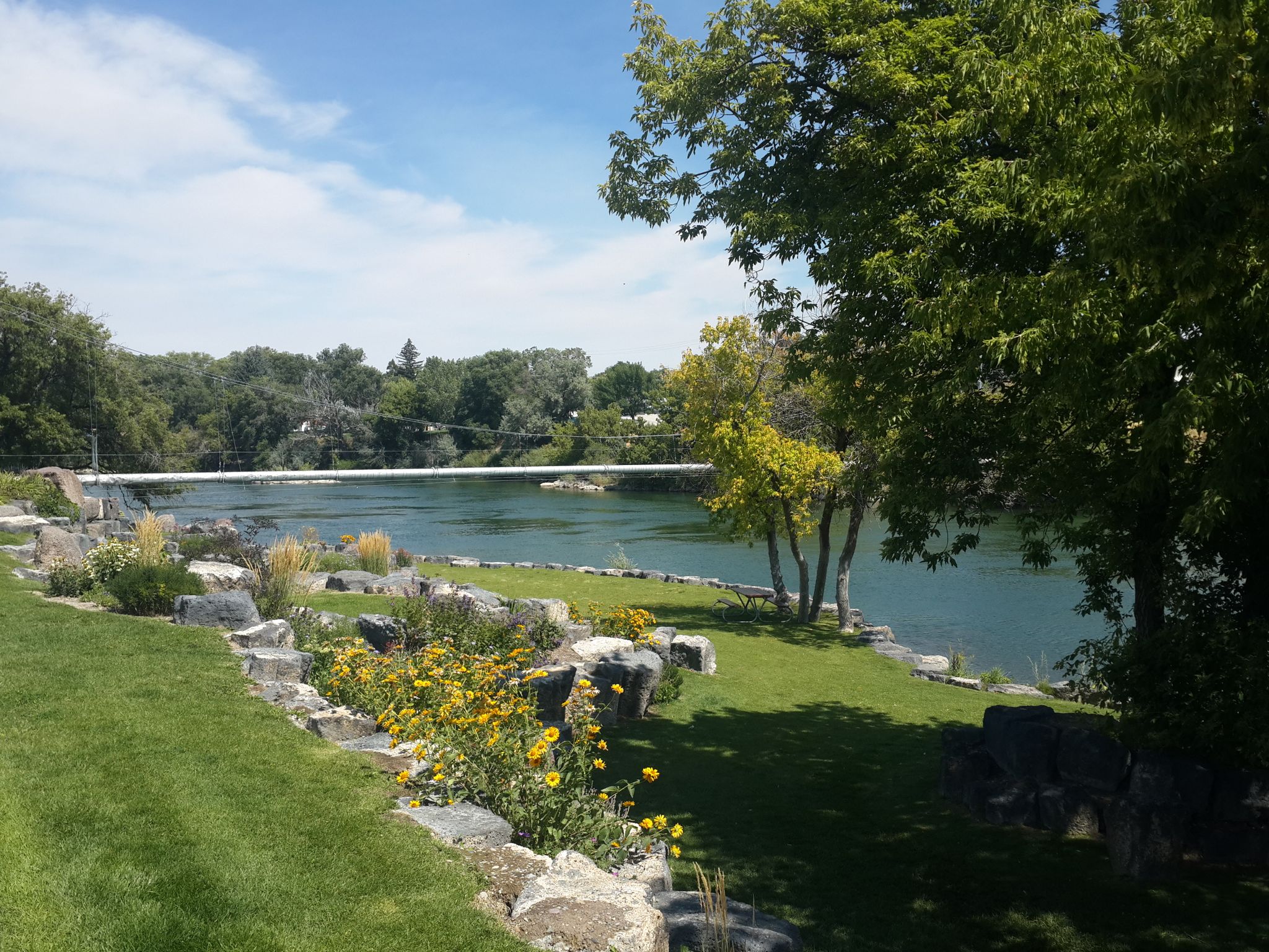 Grassy park with yellow flowers and rocks next to a wide river. - Idaho Falls Pier loop from Idaho Falls