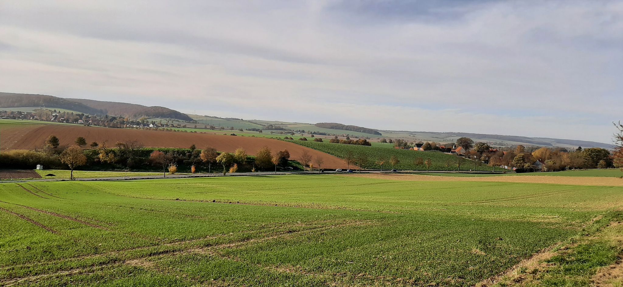 Panorama-Blick Richtung Irmenseule kurz vor Netze