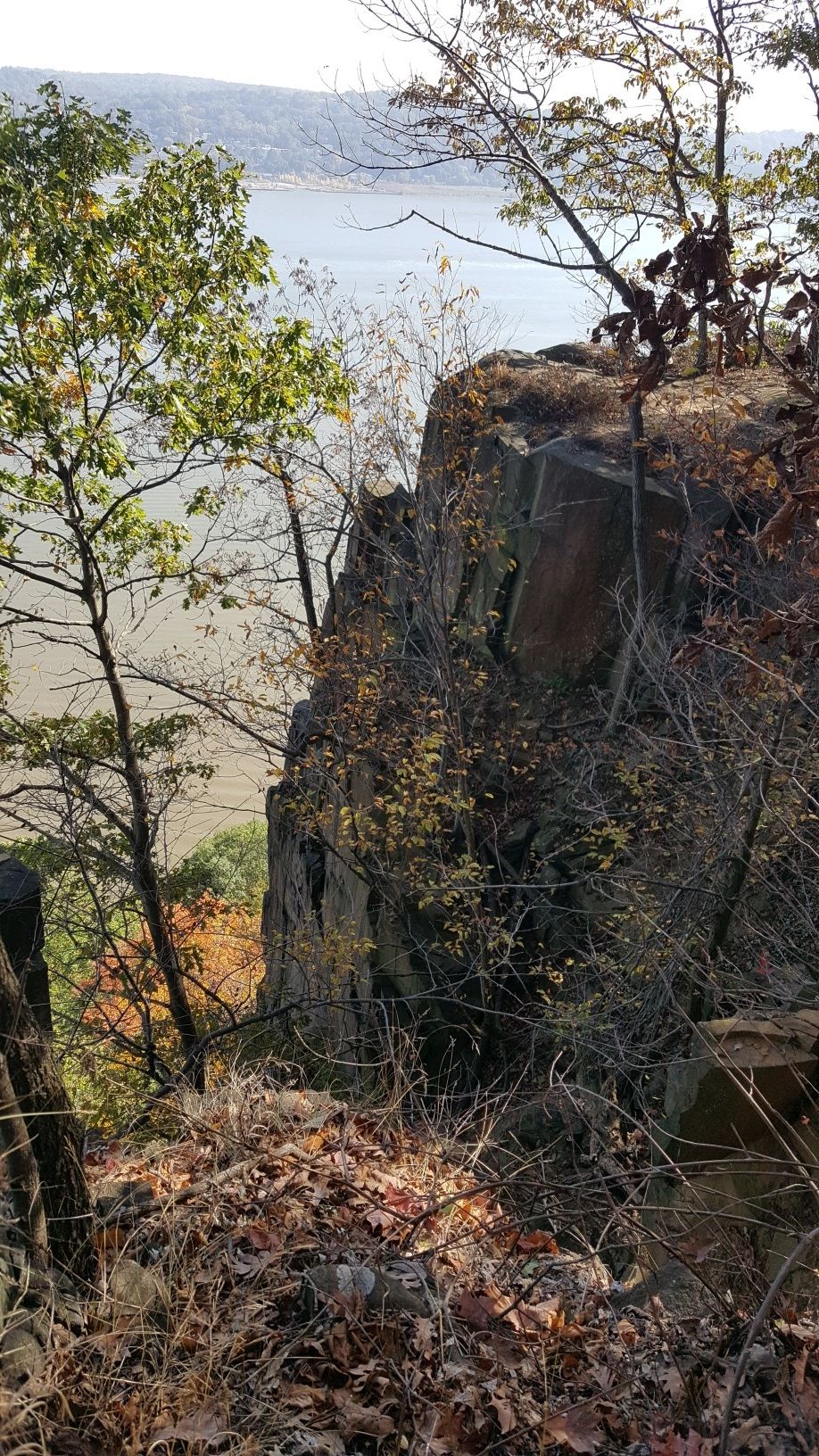 A rocky cliff with sparse trees overlooks a river, with autumn foliage. - Point Lookout – Long Path viewpoint loop from Lamont-Doherty Earth Observatory