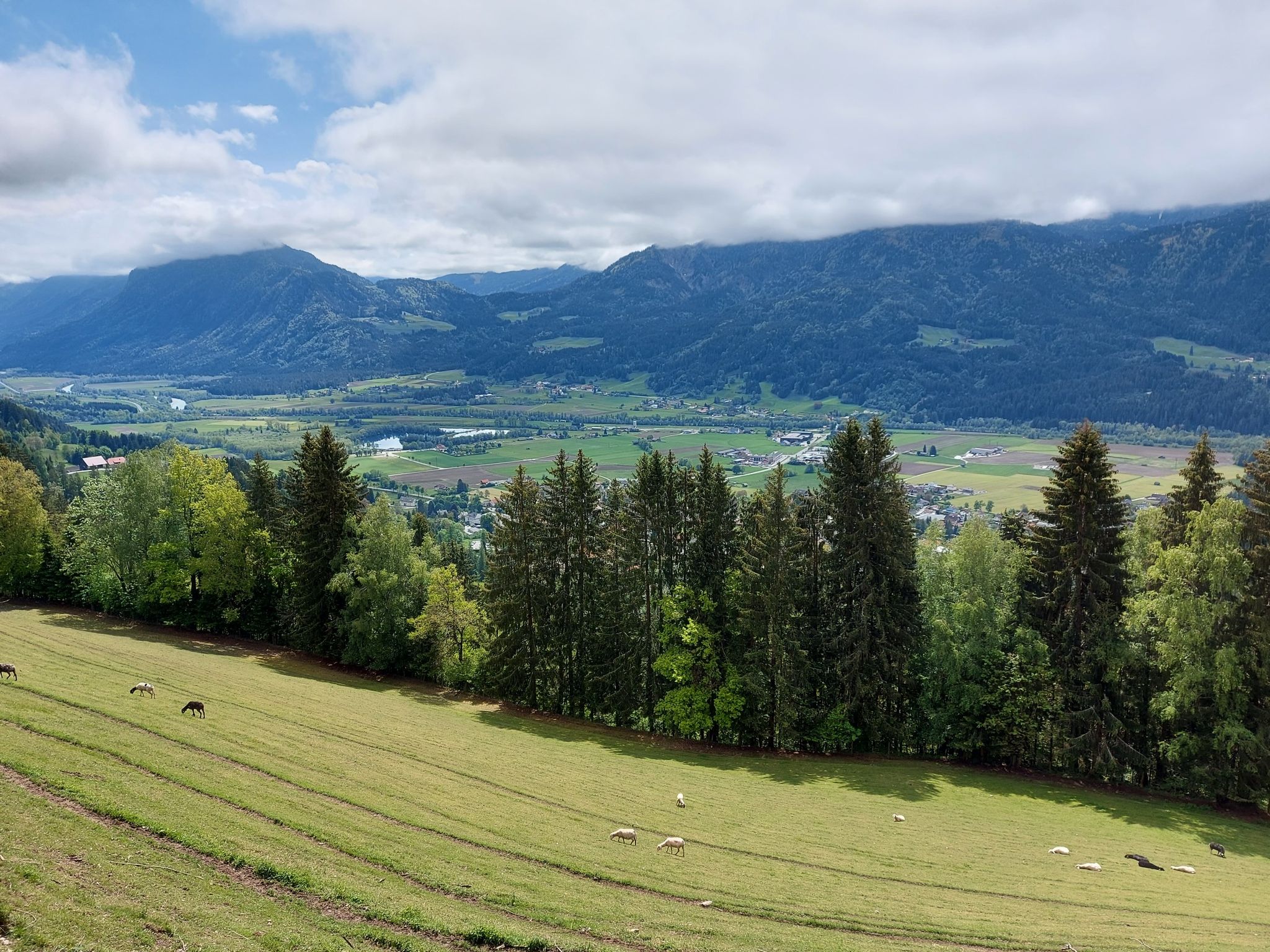 Blick auf Greifenberg