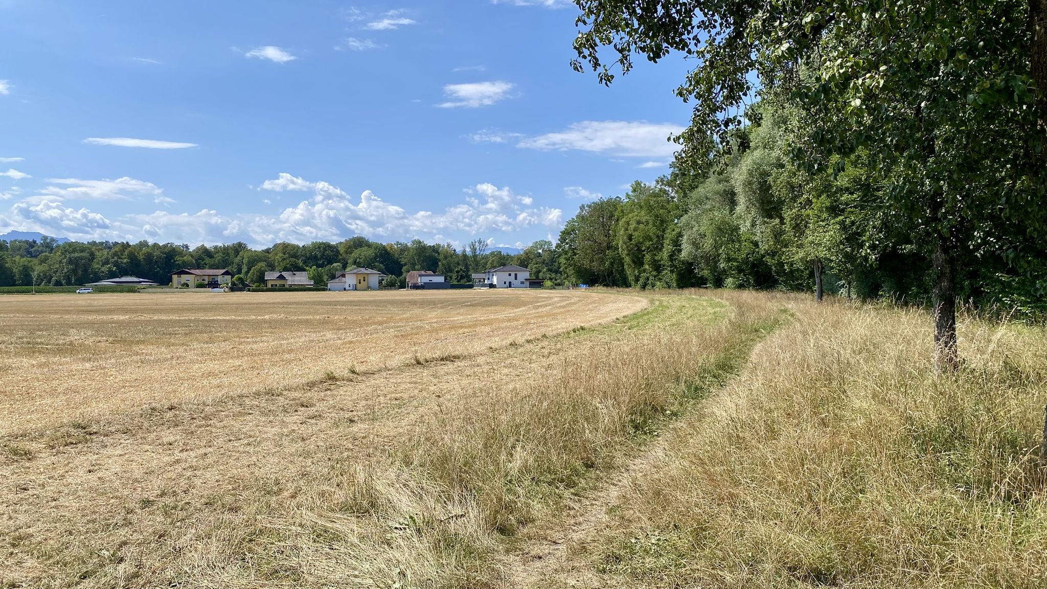 Wiesenweg Stegmüllerbach