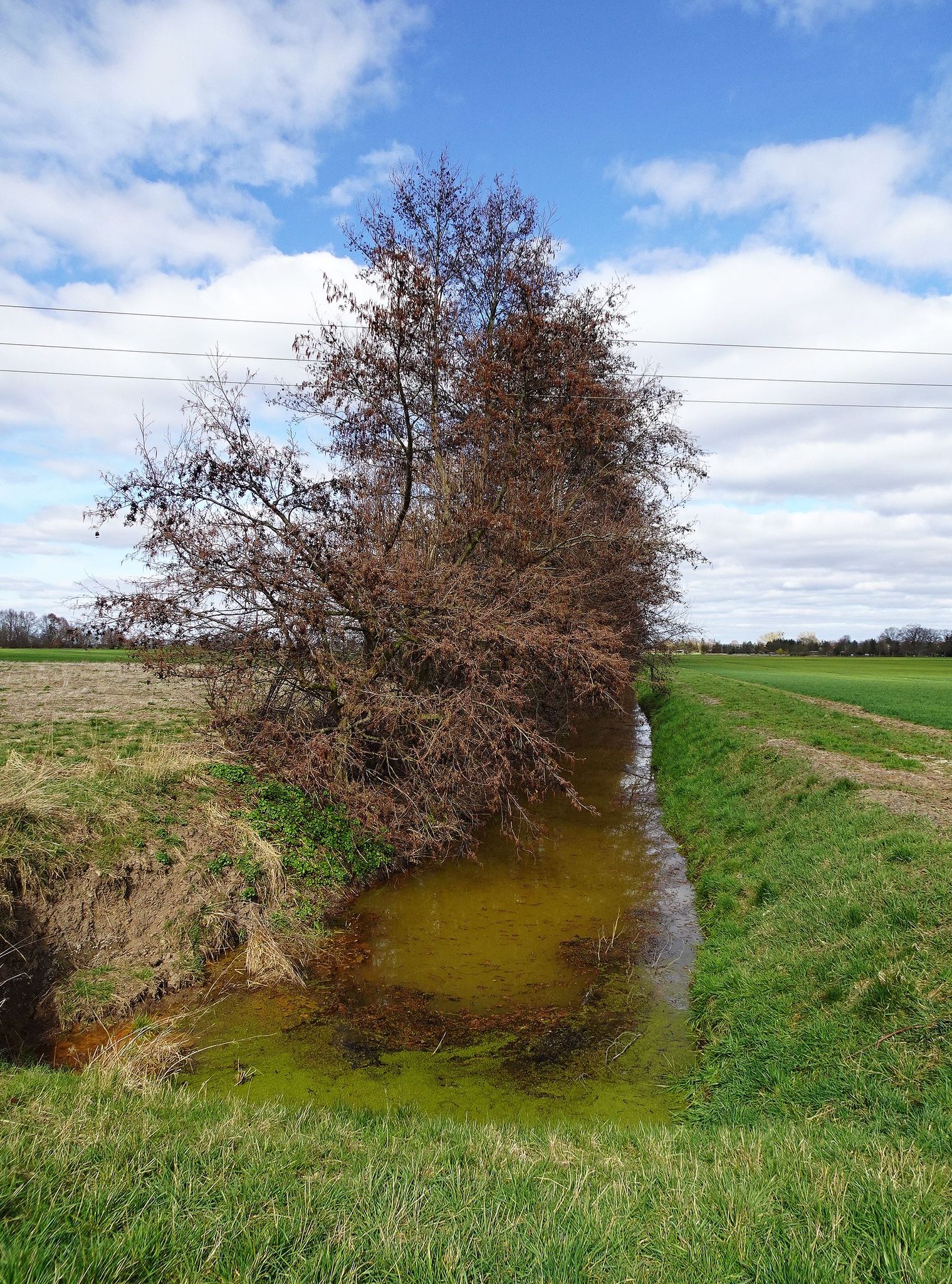 Wallgraben