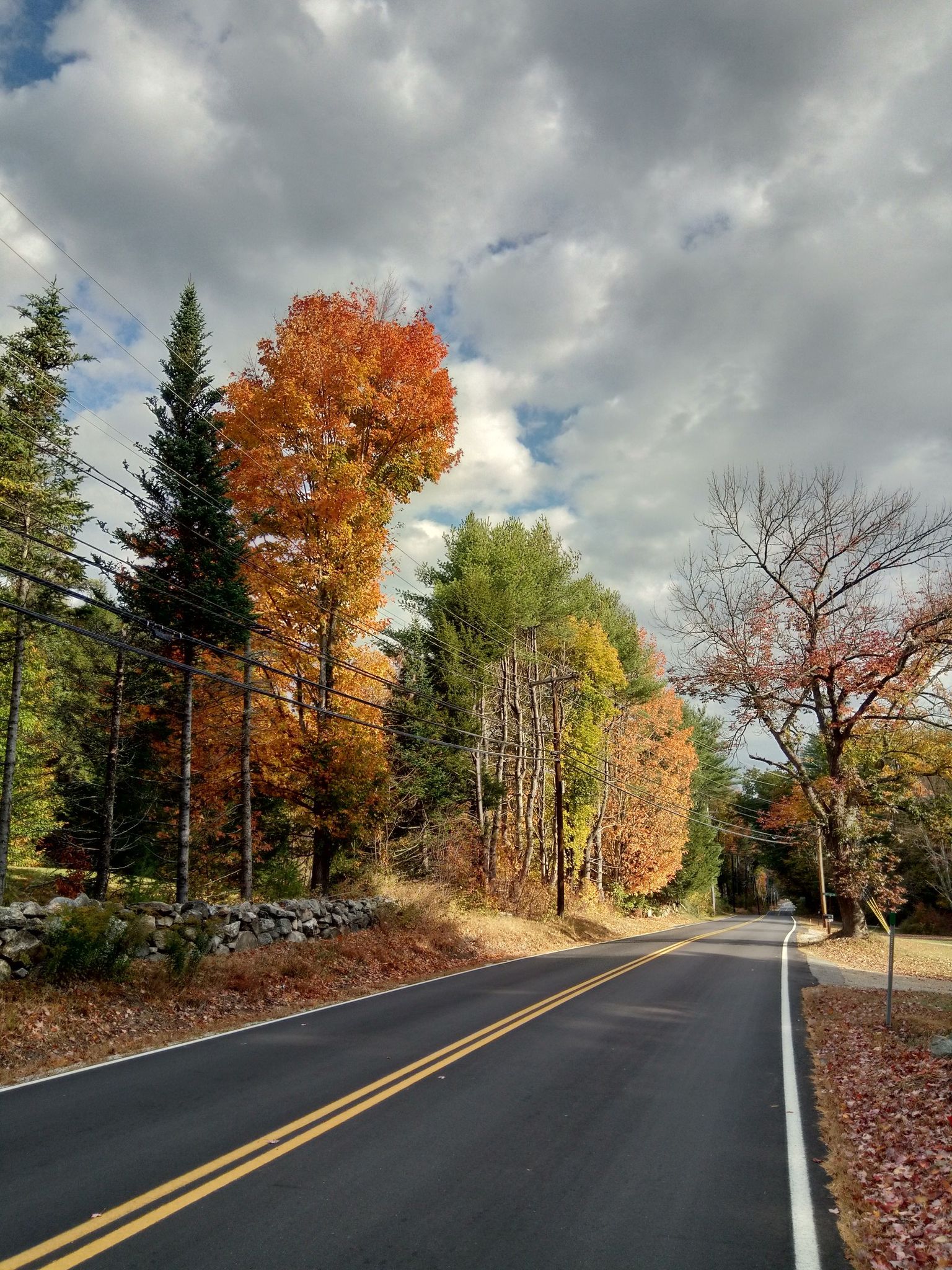 A paved road winds through vibrant autumn trees under a cloudy sky. - Blair Bridge & Livermore Falls State Forest loop from Plymouth