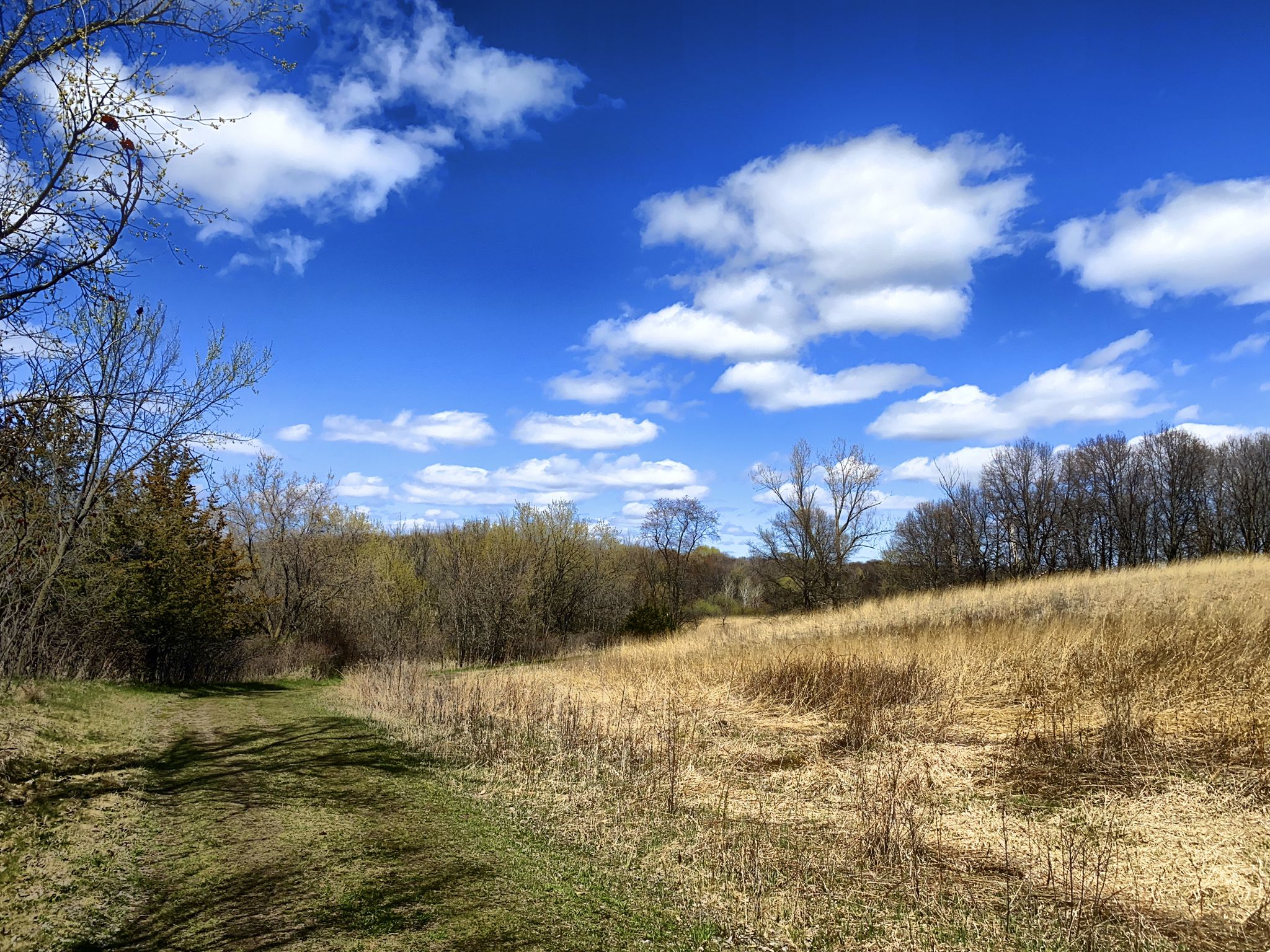 A sunny field with dry grass and distant trees under a bright blue sky. - South Twin Lake loop from Vehicle without Trailer Parking