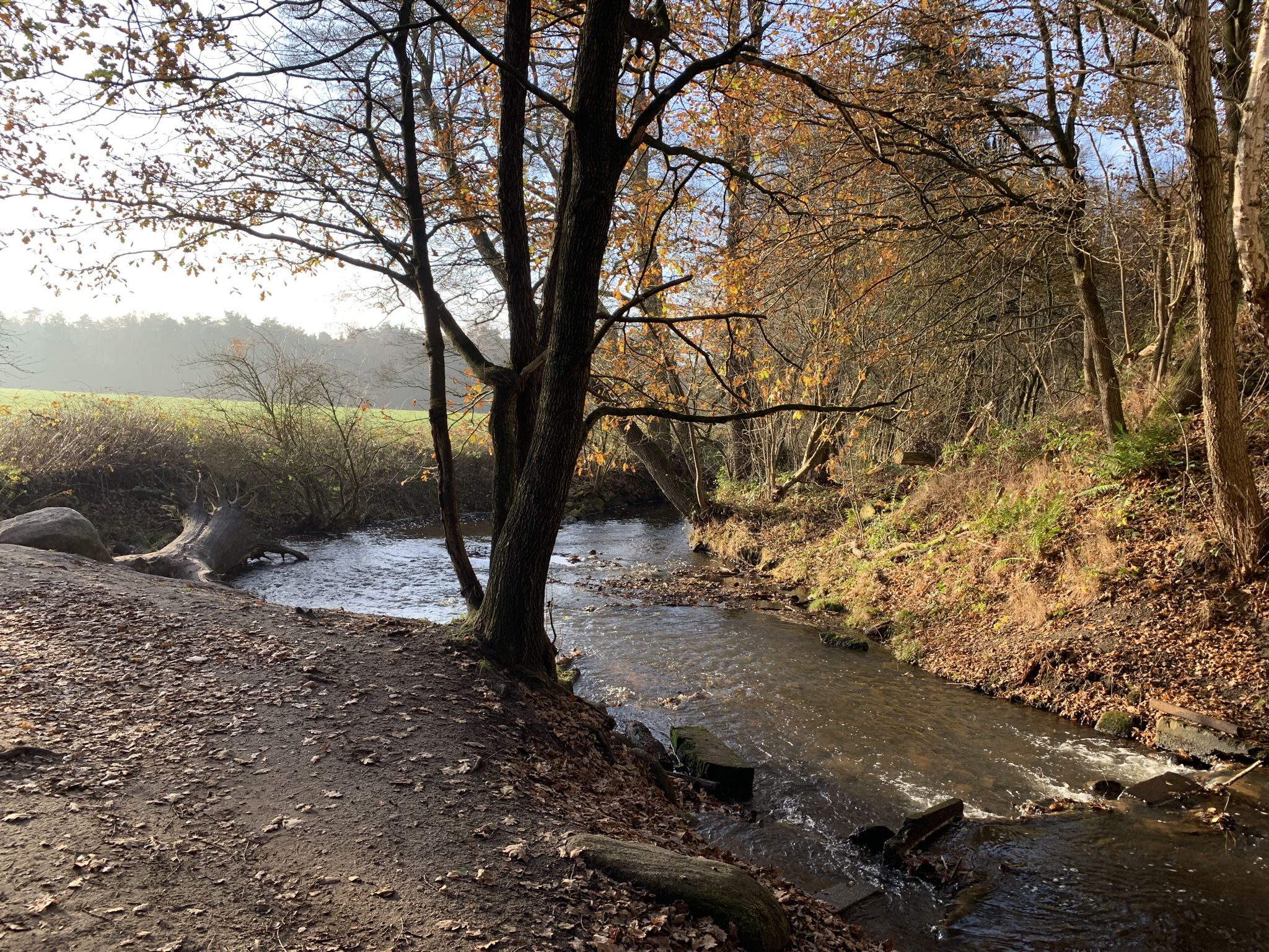 Bei der Bahnbrücke
