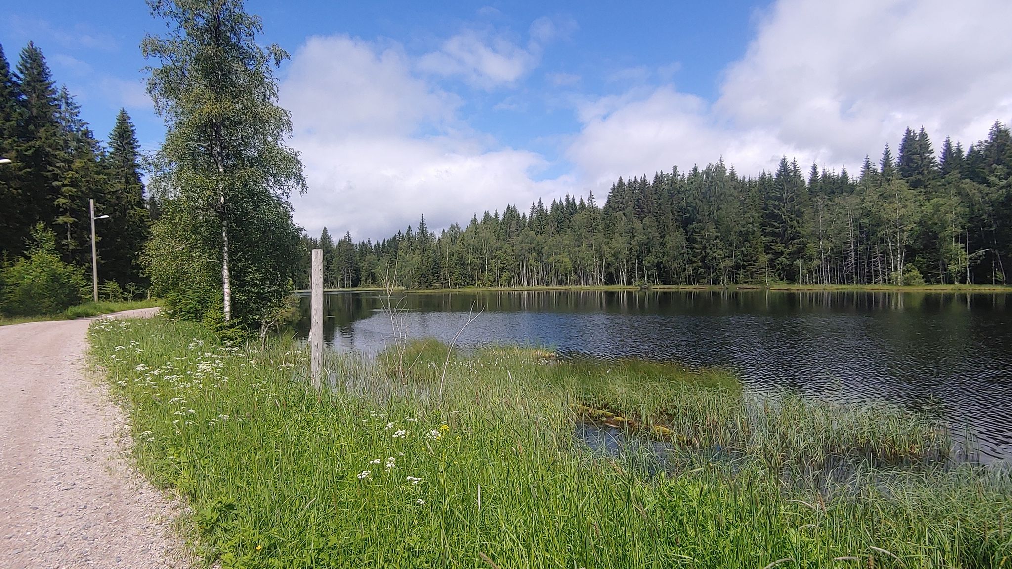 Das sind Oslos Wälder 😍 Naherholung pur!