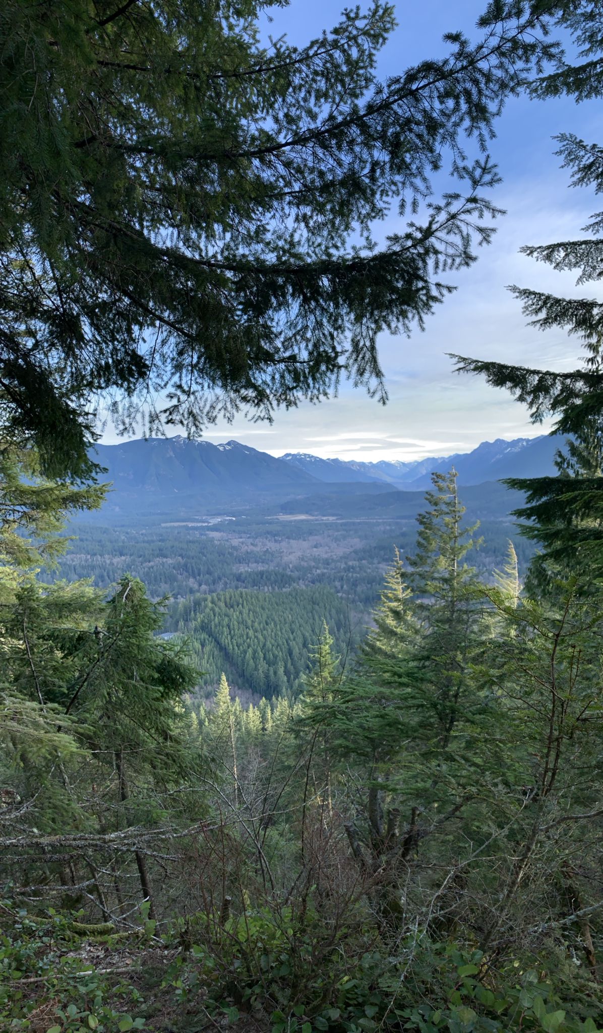 Panoramic mountain valley view framed by dark green evergreen trees. - Cedar Butte peak – Cedar Falls loop from Wilderness Rim