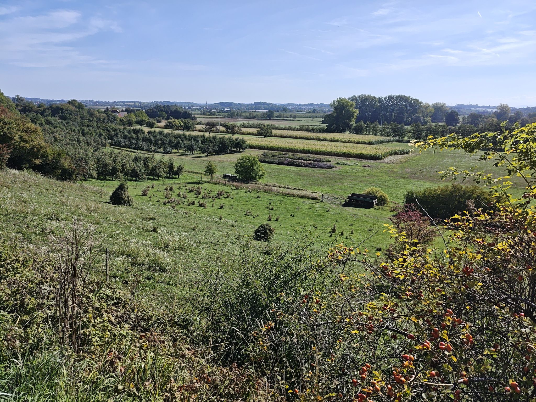 Blick auf Oberteuringen 