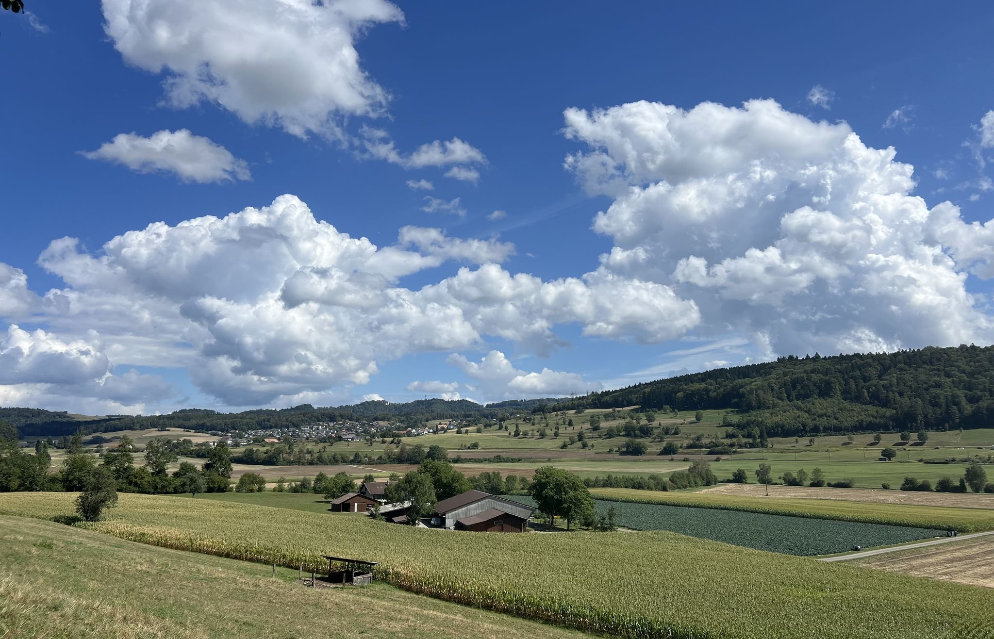 Blick Richtig Bonstetten