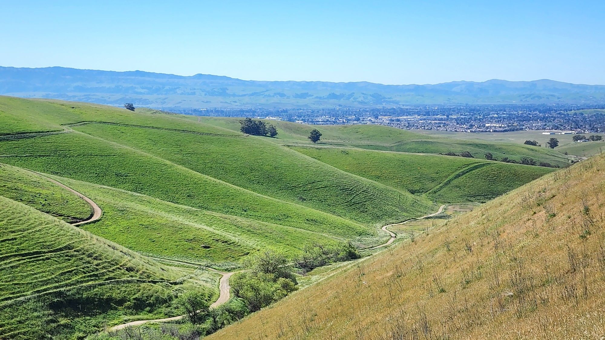 Rolling green hills with winding trails and a distant city under clear sky. - Brushy Peak Loop Trail loop from Brushy Peak Regional Park