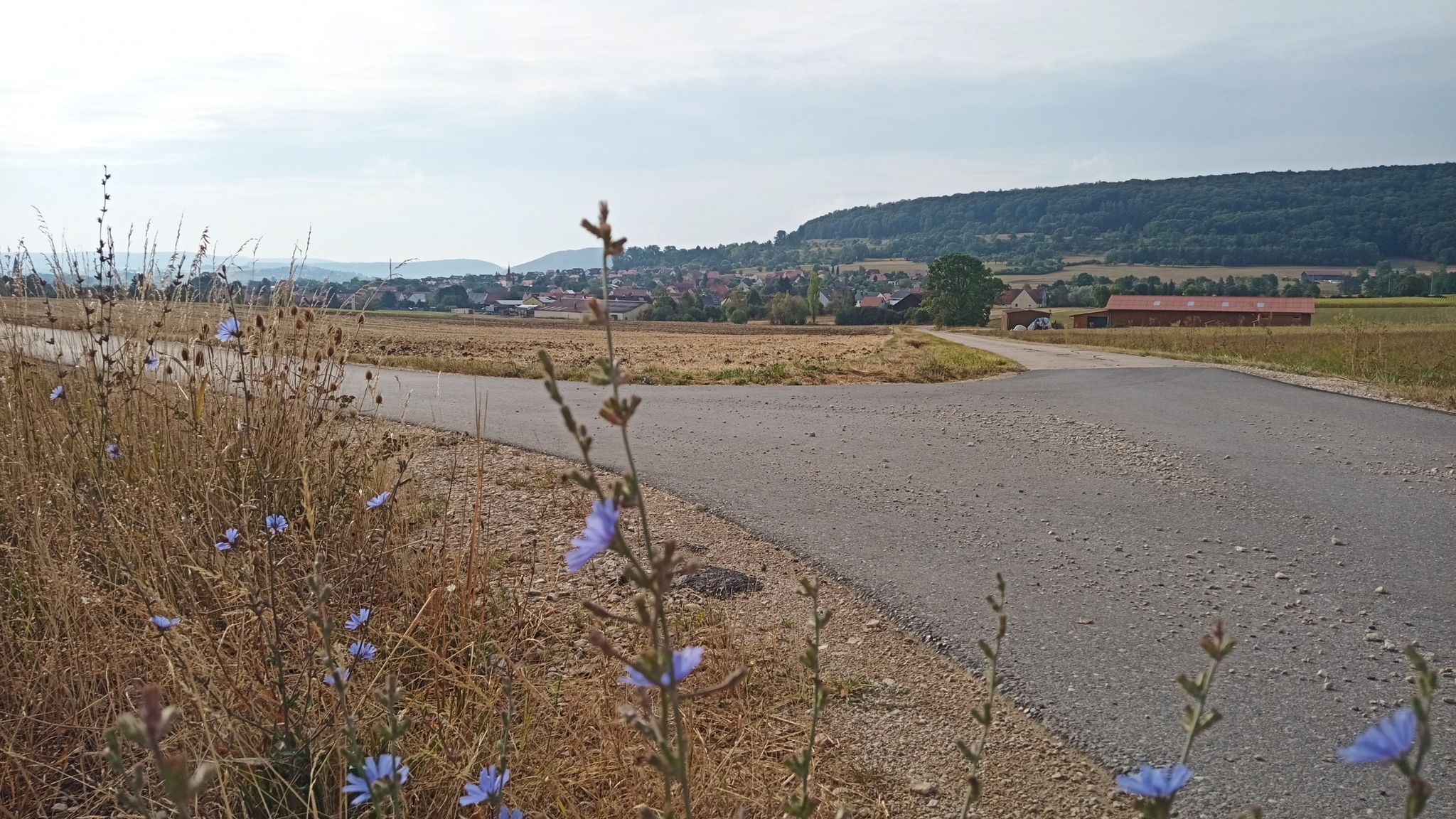 Blick zurück auf B'Heim und Buchleite
