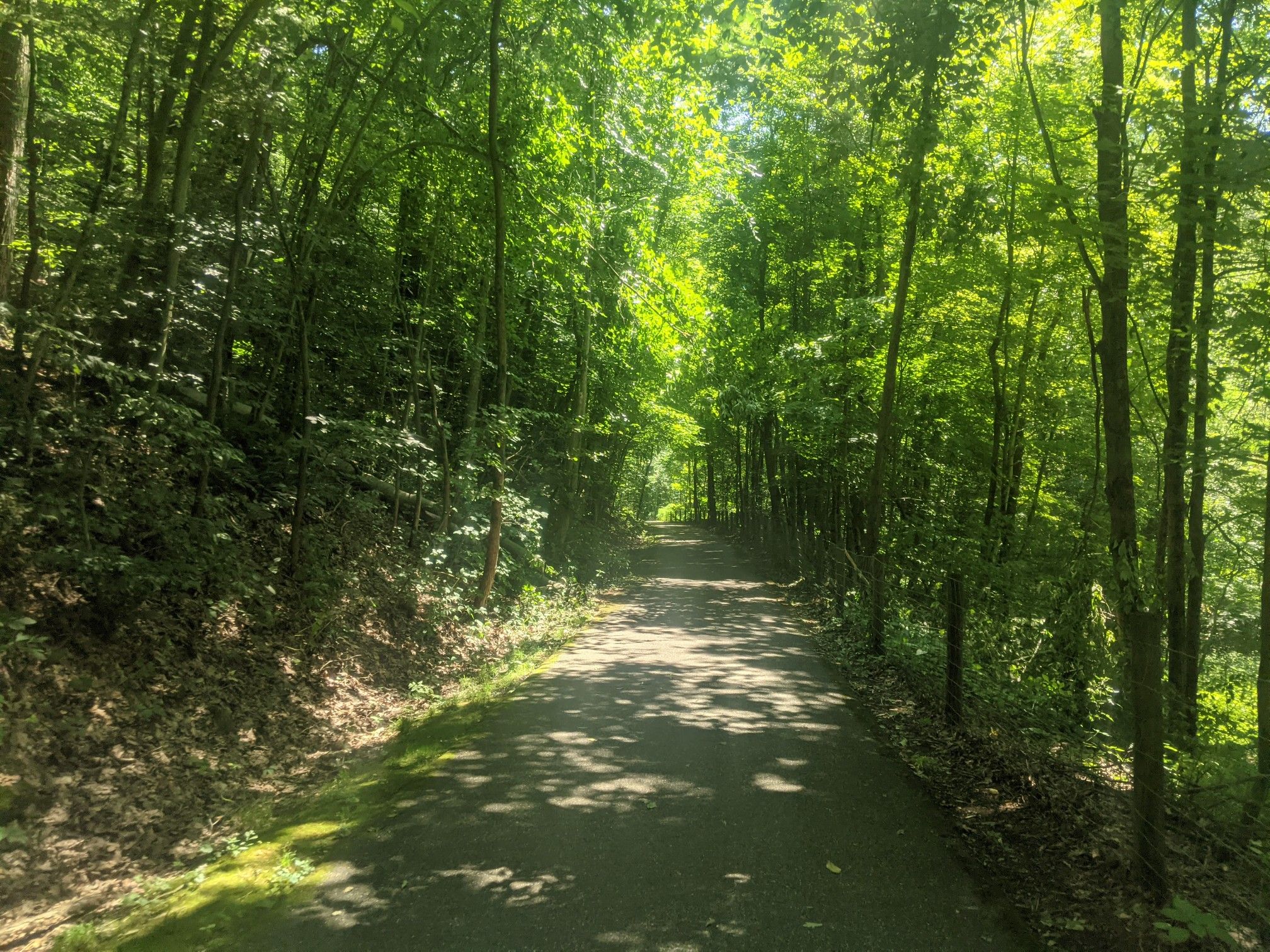 Paved path through a dense green forest, dappled with bright sunlight. - Little Beaver Creek Greenway loop from Leetonia