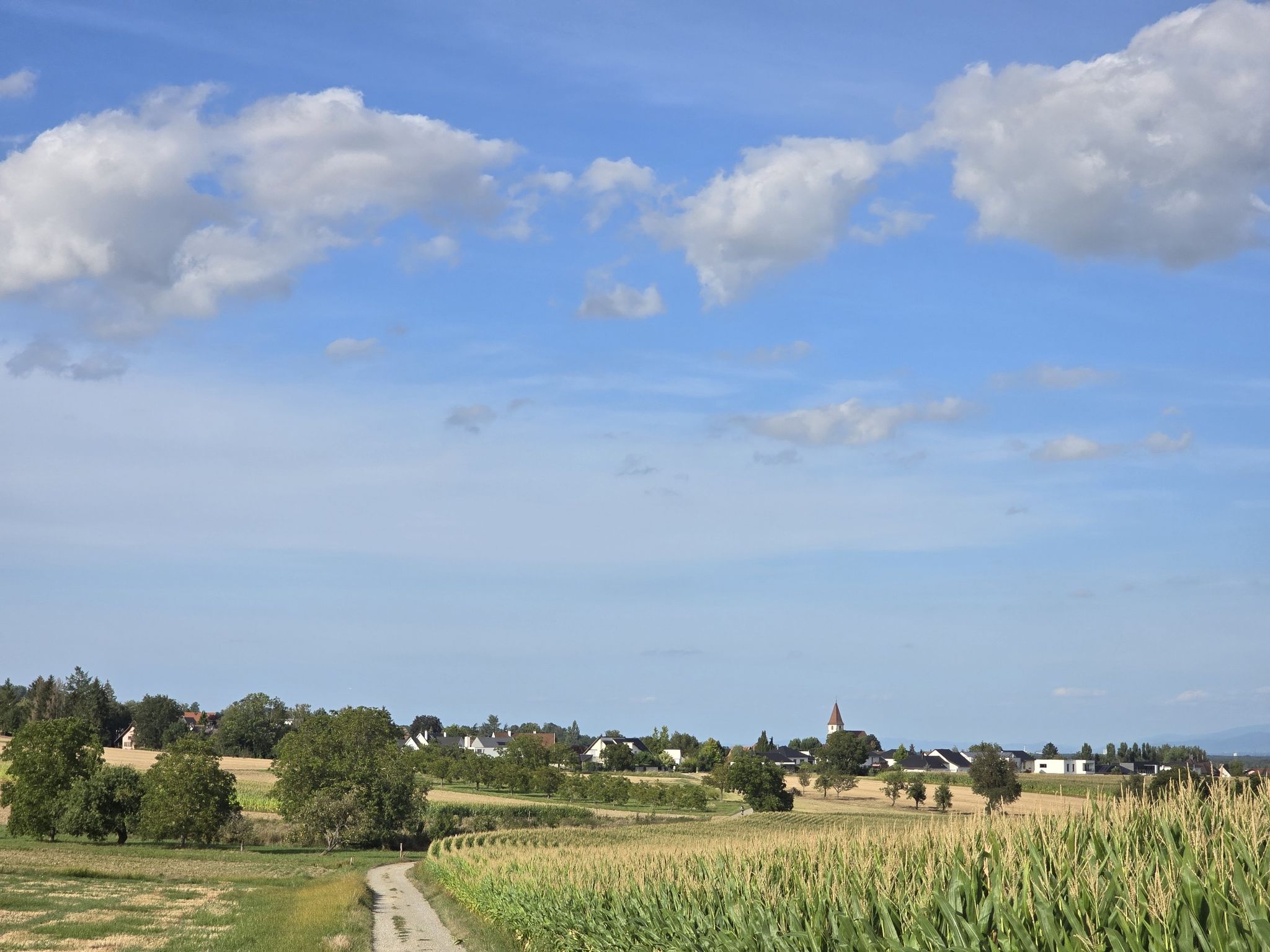 Eschentzwiller à travers les champ...