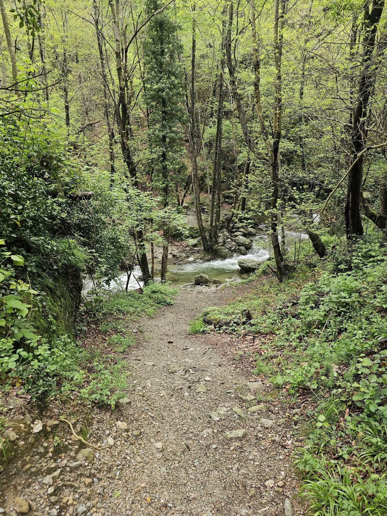 Stromschnellen