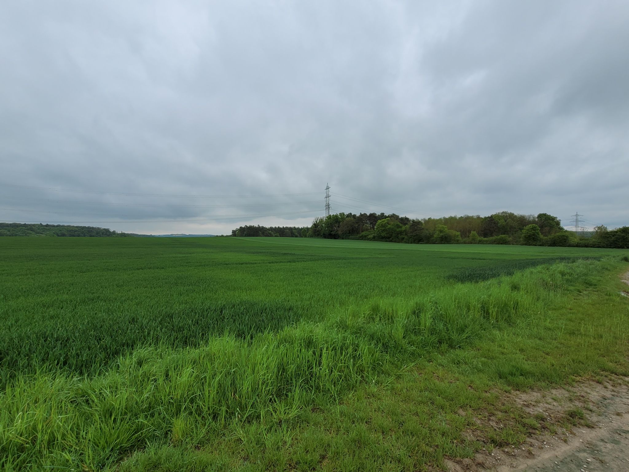 Blick auf das Solarfeld