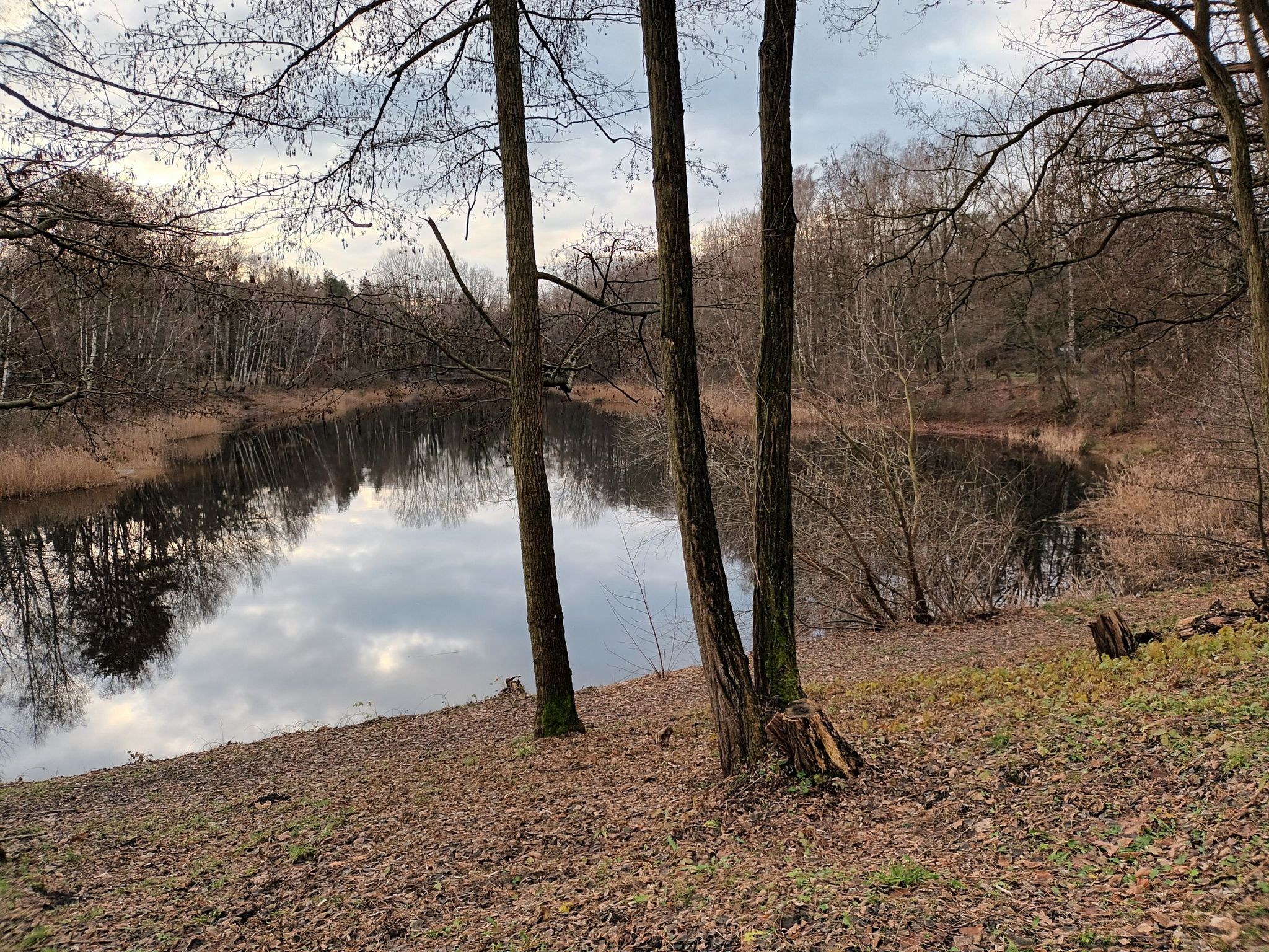 der alte Döberner Badeteich, Blick Richtung Lieschenpark